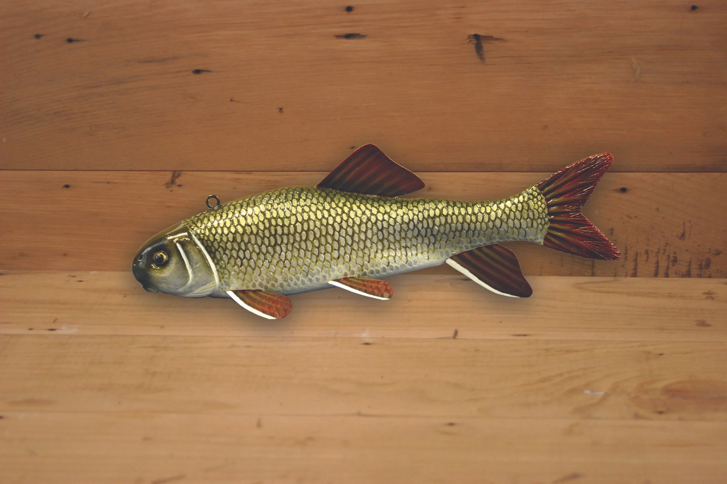 9" Sucker Jr. Division by Tony Sazama