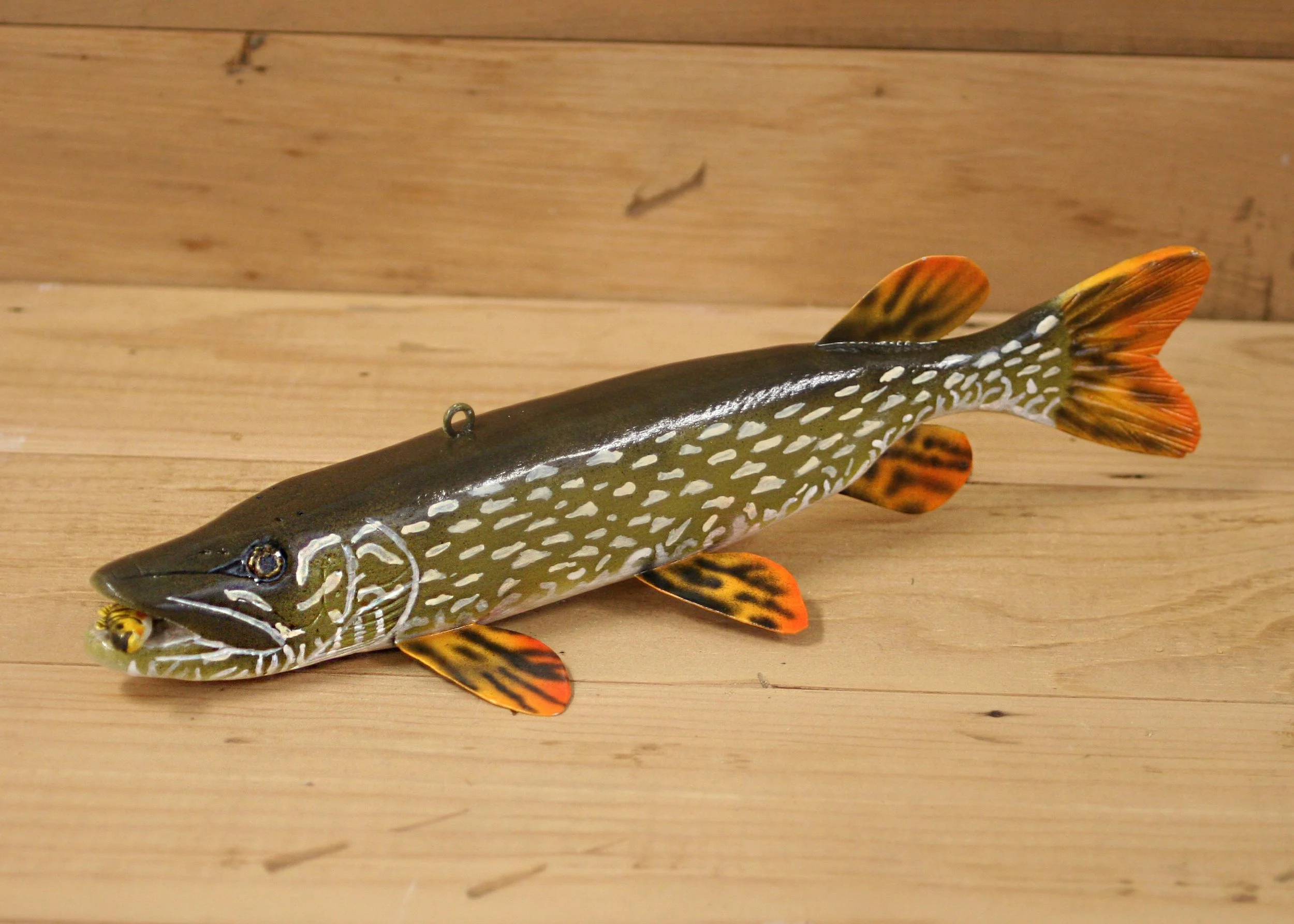 10" Northern Pike Jr. Division by Tony Sazama