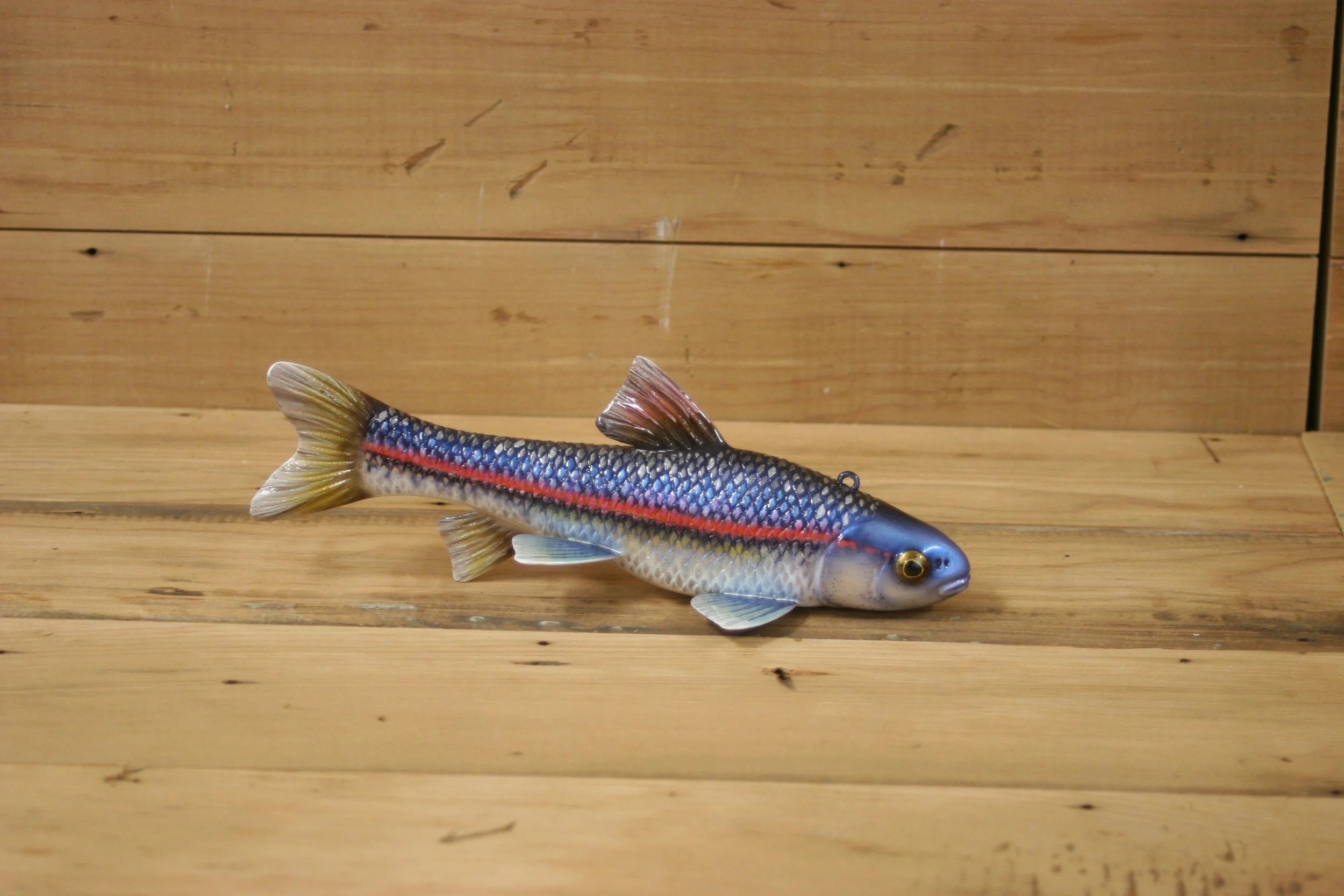 5th Place: 9" Rainbow Shiner Minnow by Eric Wallace