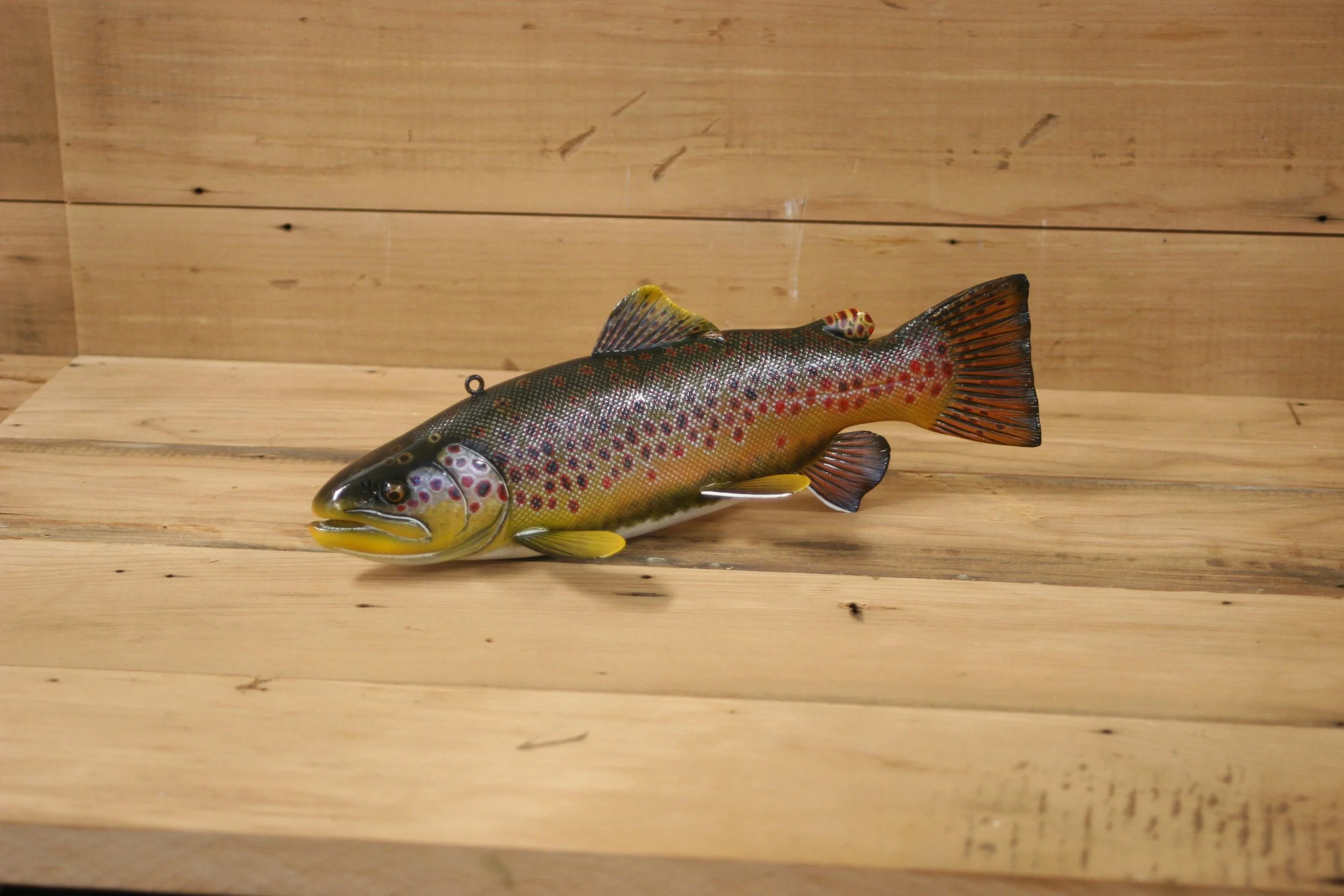 1st place: 11" Brown Trout by Jacob Sazama