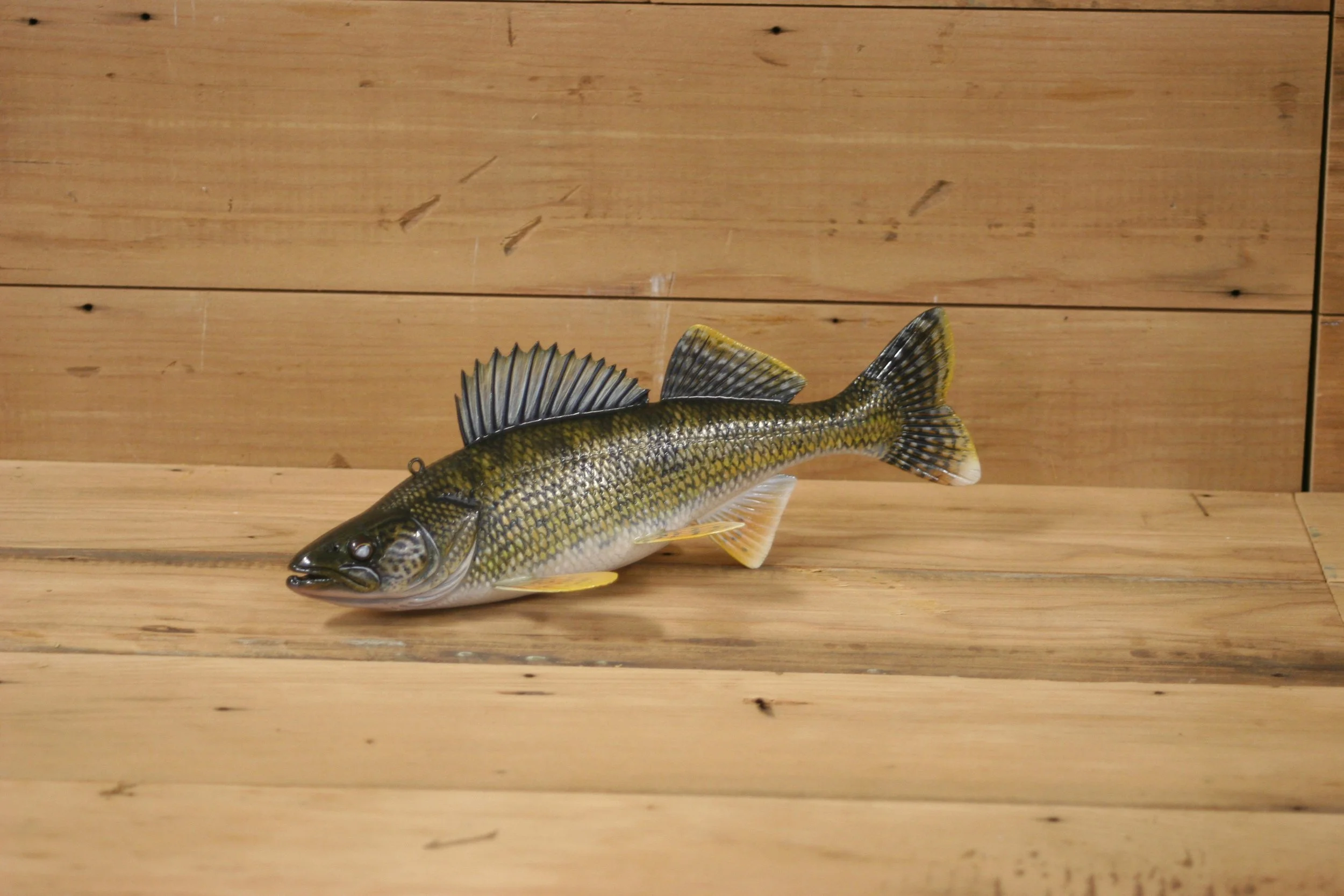 1st place: 9" Walleye by Jacob Sazama