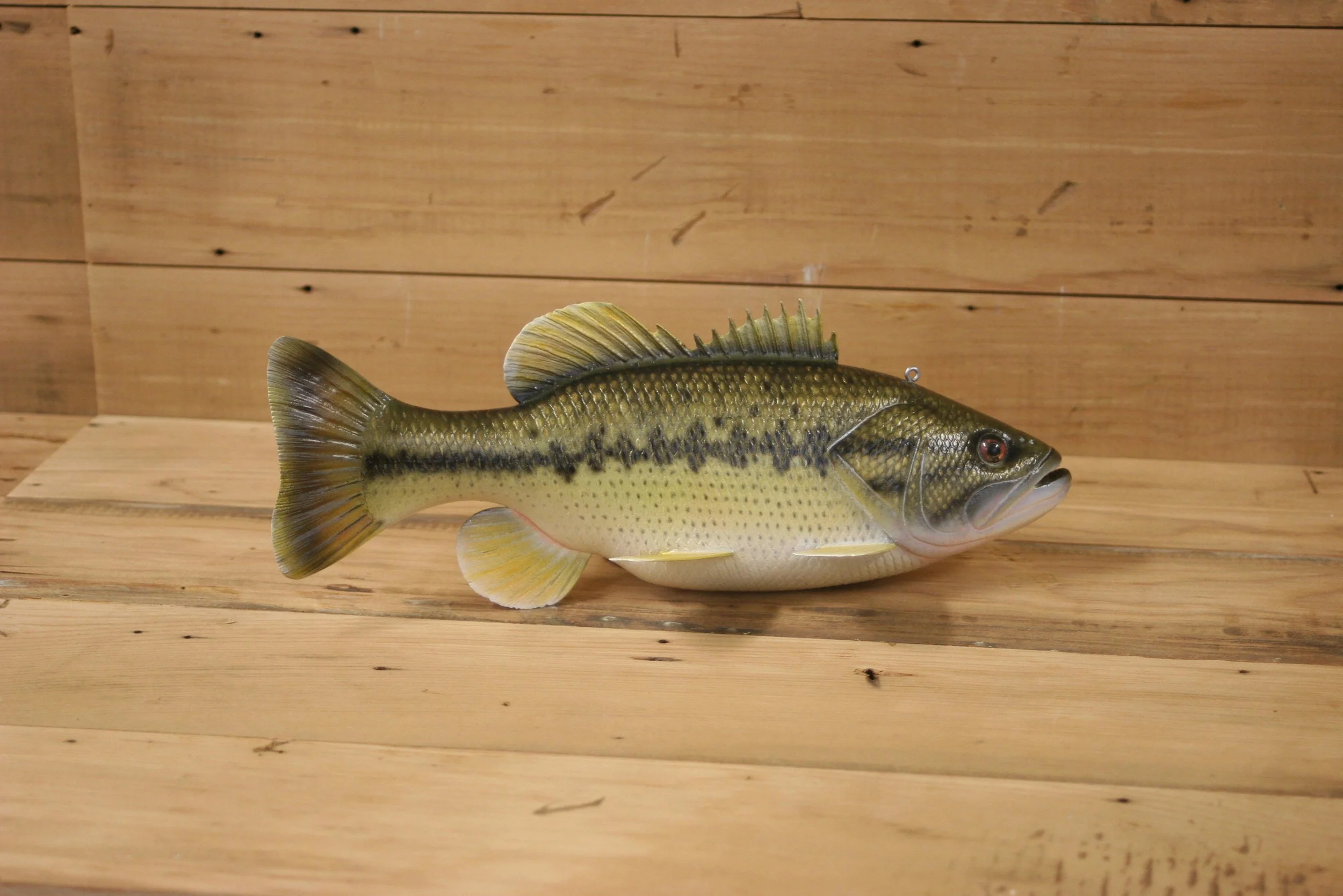 4th place: 11" Largemouth Bass by Kerry Wolgast