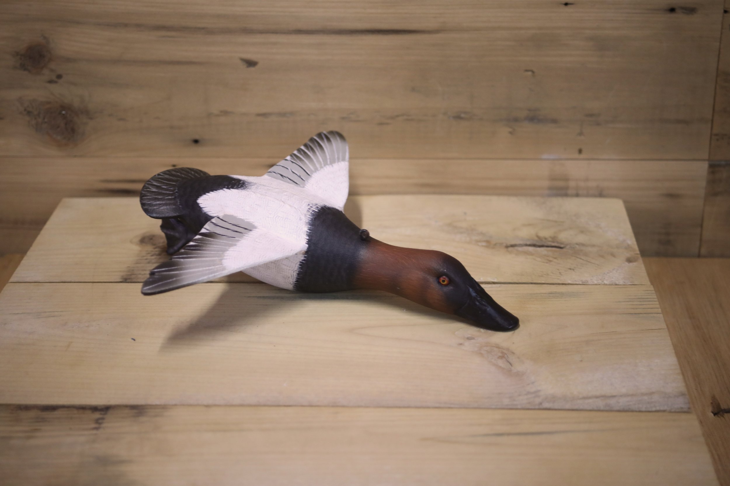 9" Canvasback by Kerry Wolgast