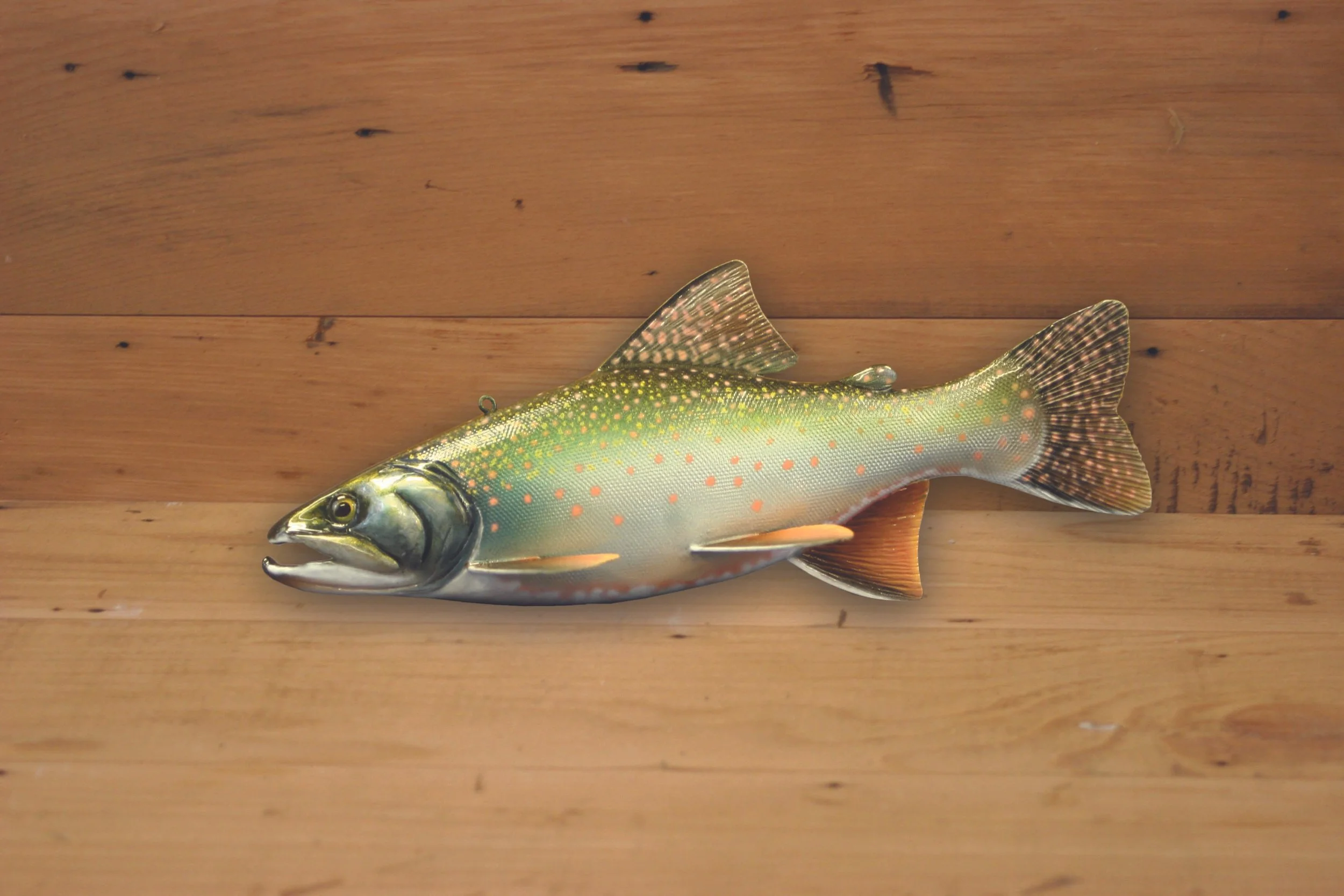 10" Dolly Varden by Harley Ragan