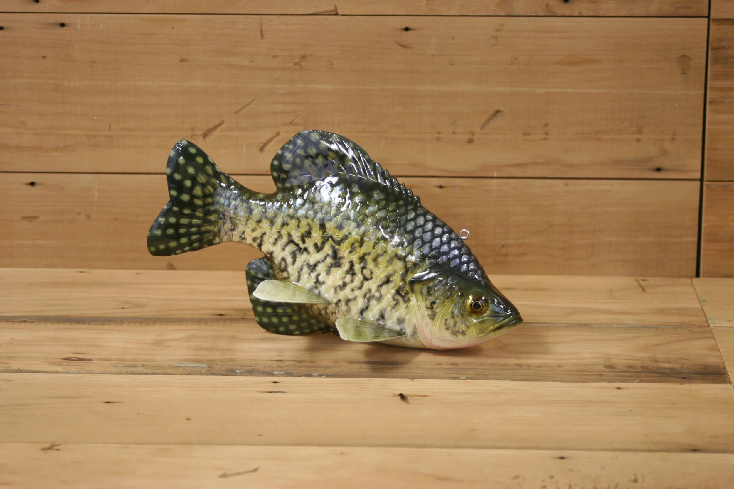 2nd place: 9" Black Crappie by Eric Wallace