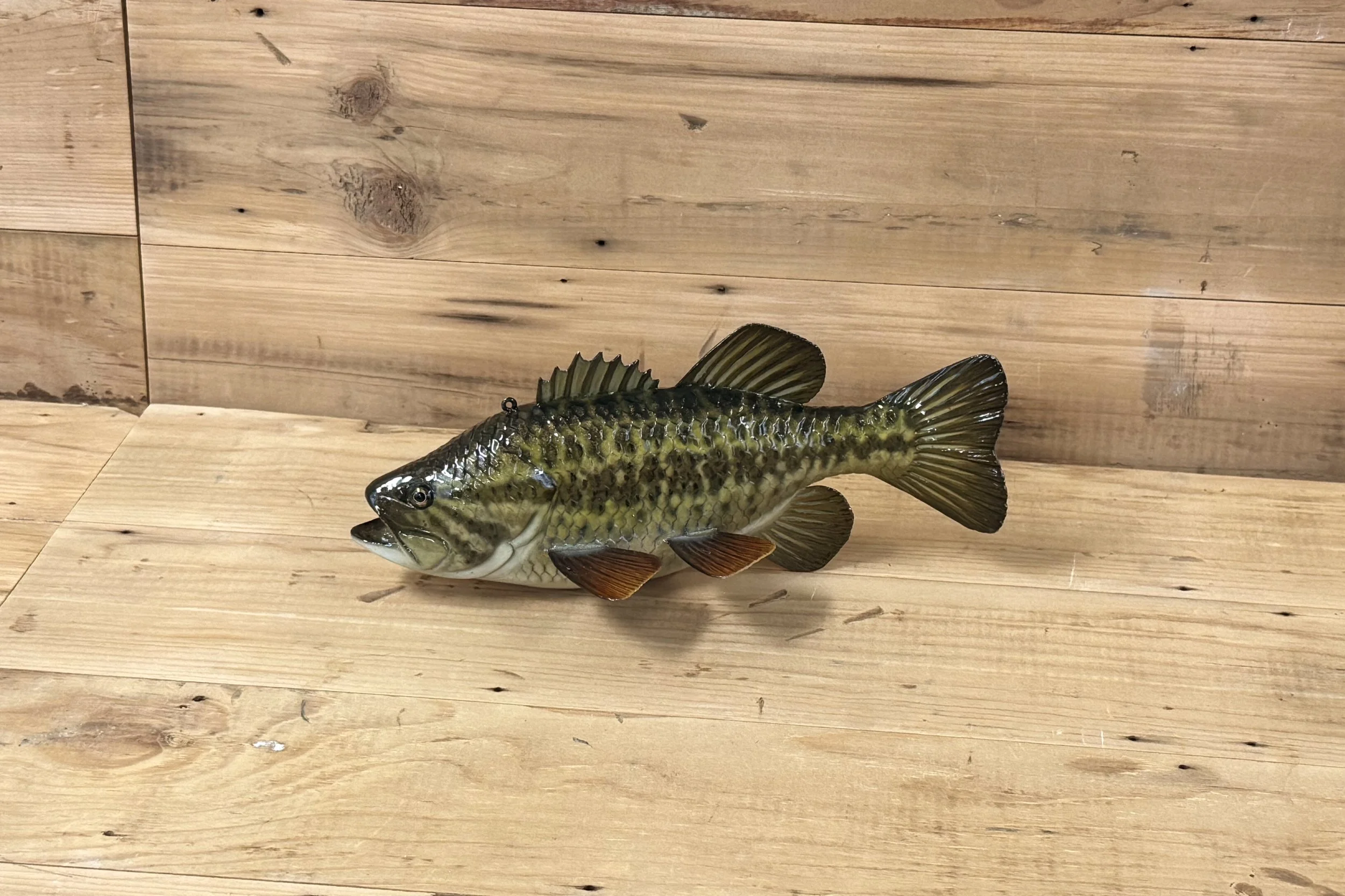 10" Largemouth Bass by Harley Ragan