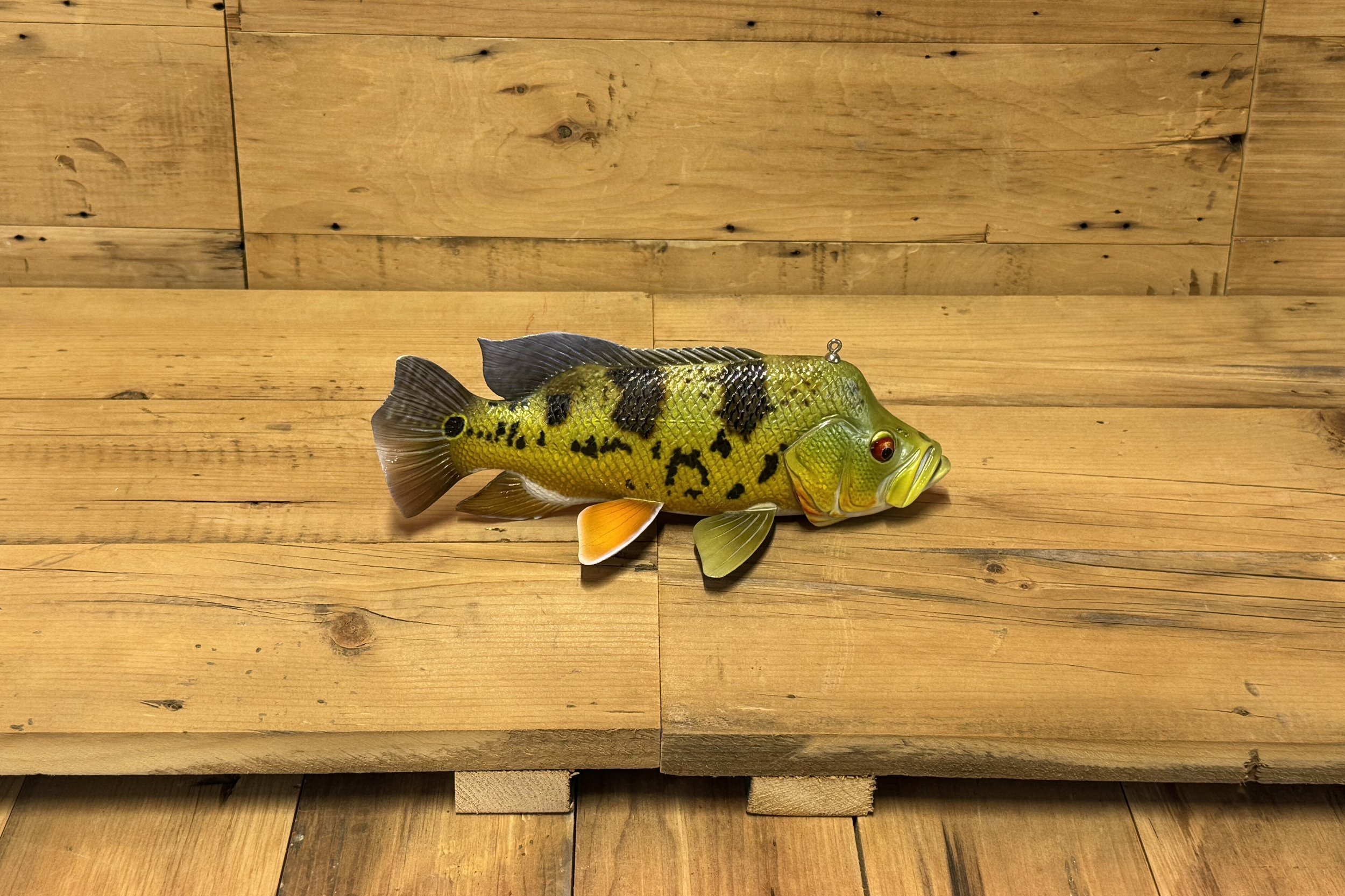 10" Peacock Bass by Eric Wallace