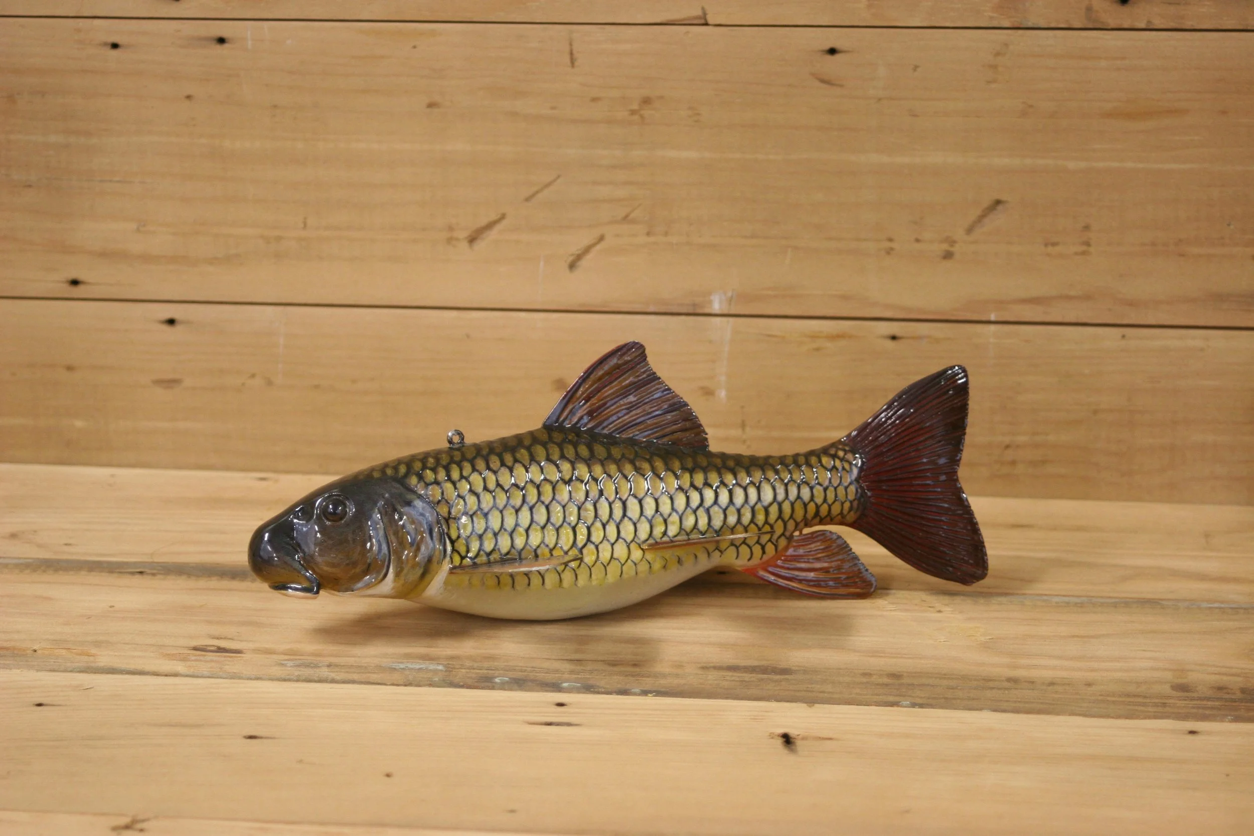 2nd place: 9" Sucker by Harley Ragan