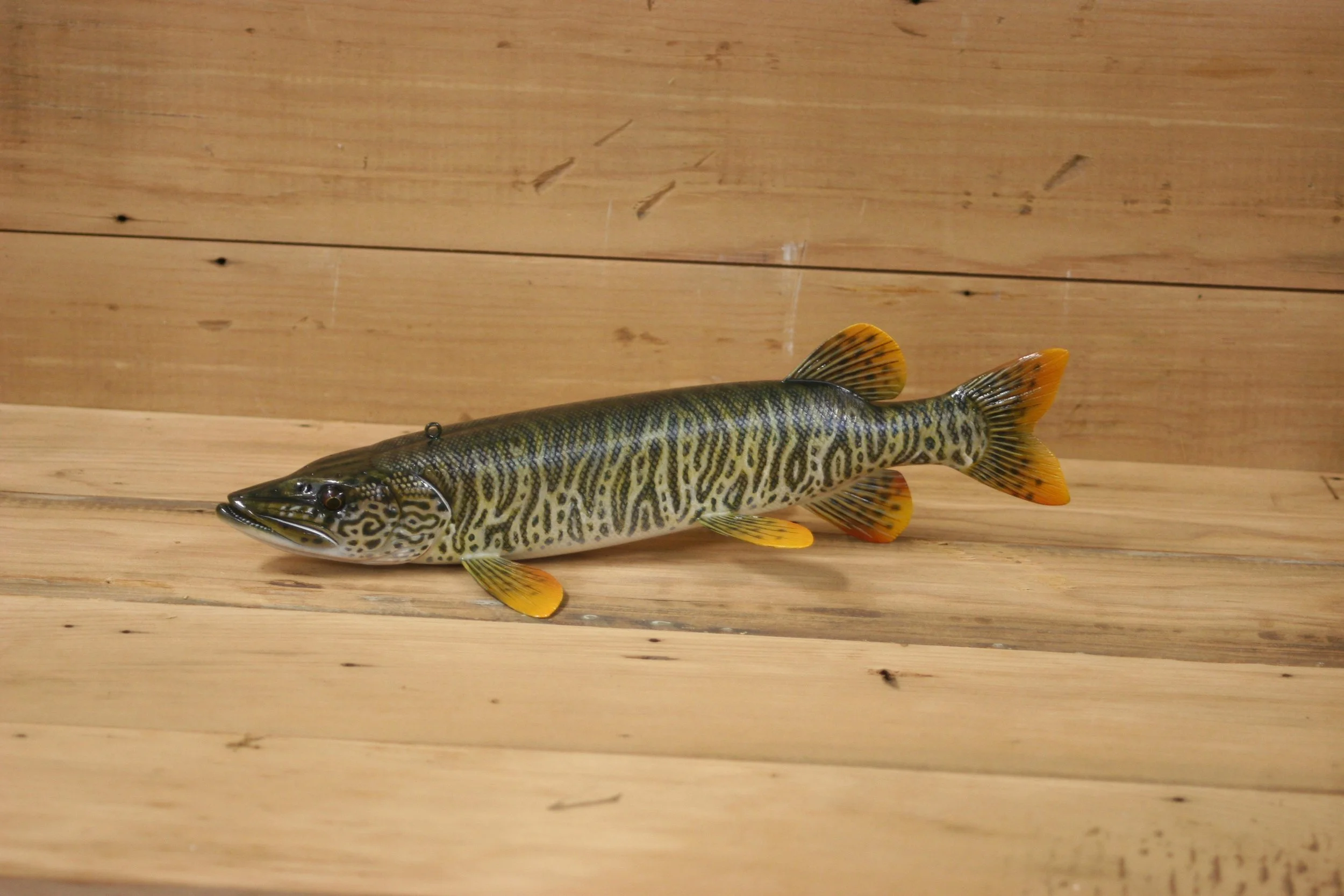 1st place: 10" Tiger Muskie by Jacob Sazama