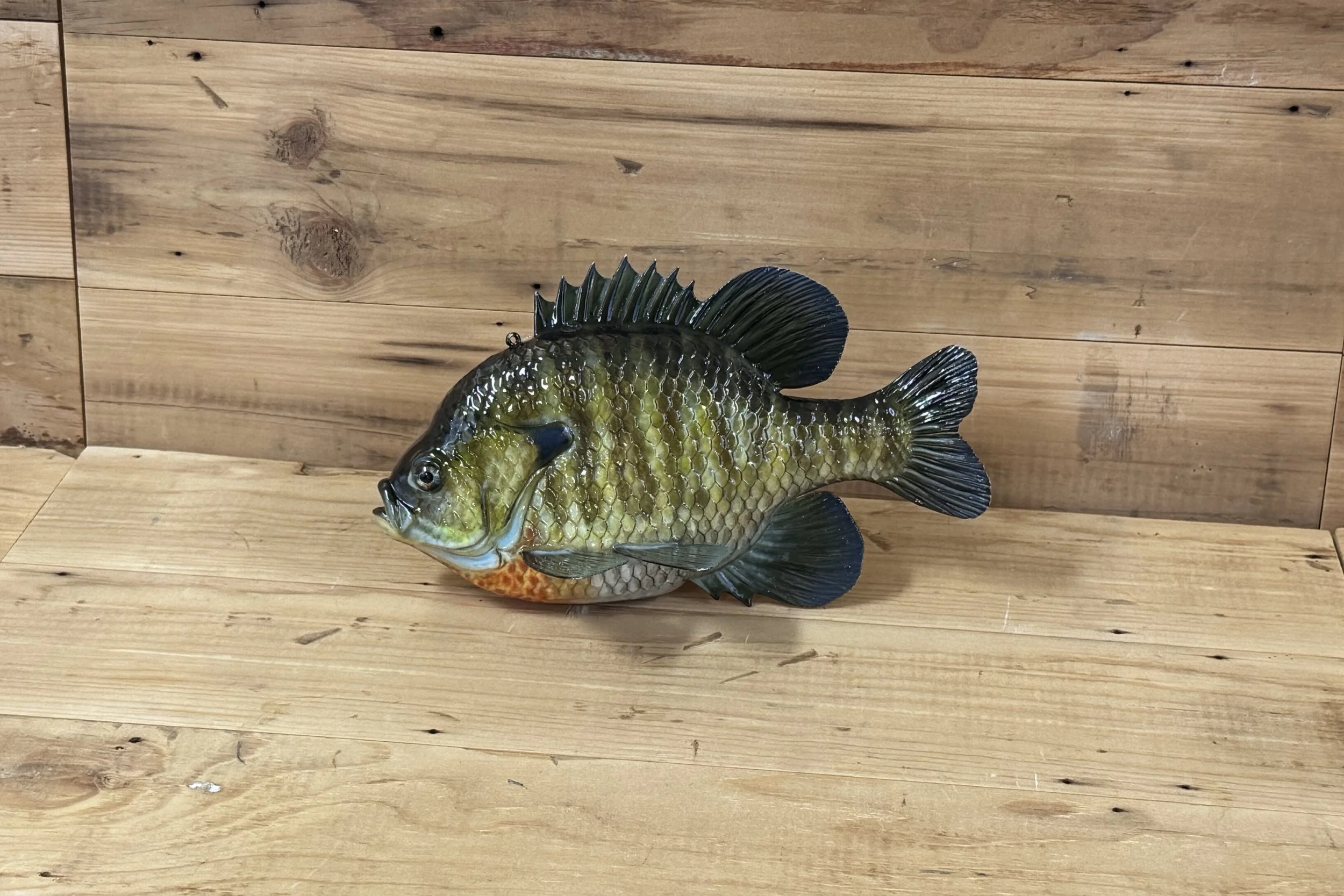 9" Sunfish by Harley Ragan