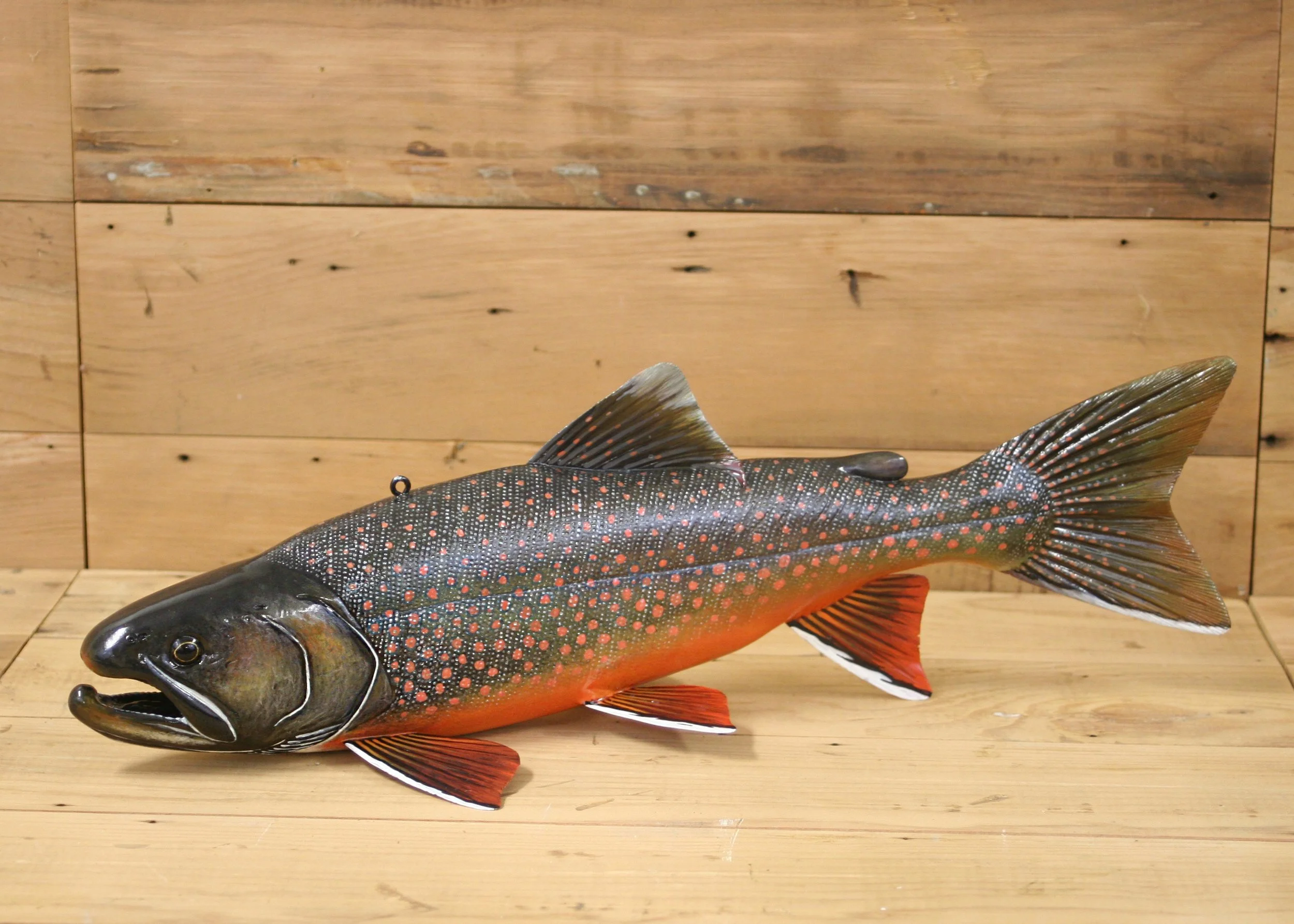 17" Hand Painted Spawning Male Dolly Varden by Jacob Sazama