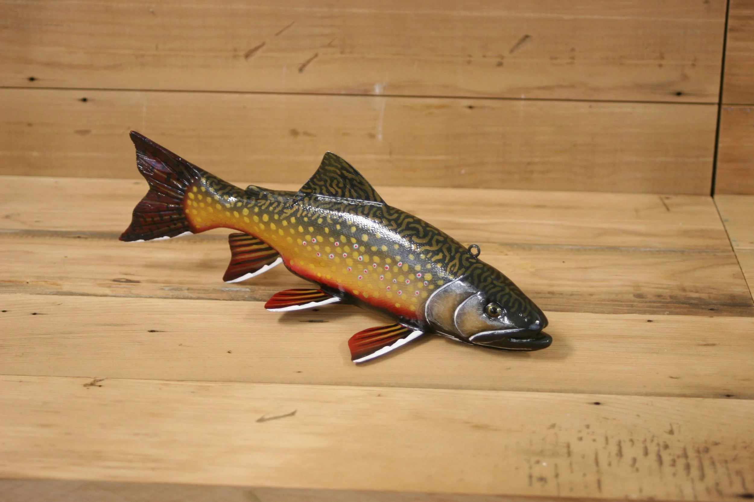11" Brook Trout Jr. Division by Tony Sazama