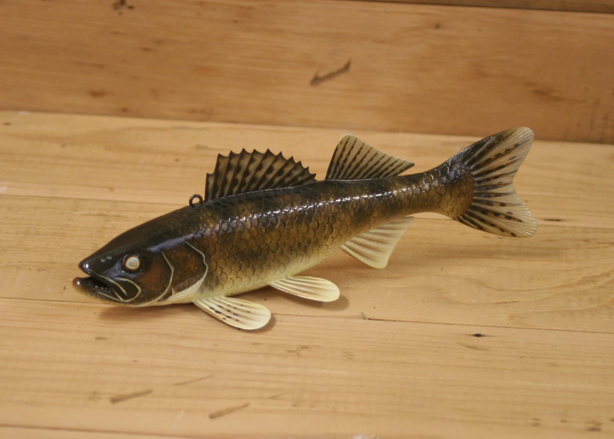 8" Sauger by Jacob Sazama