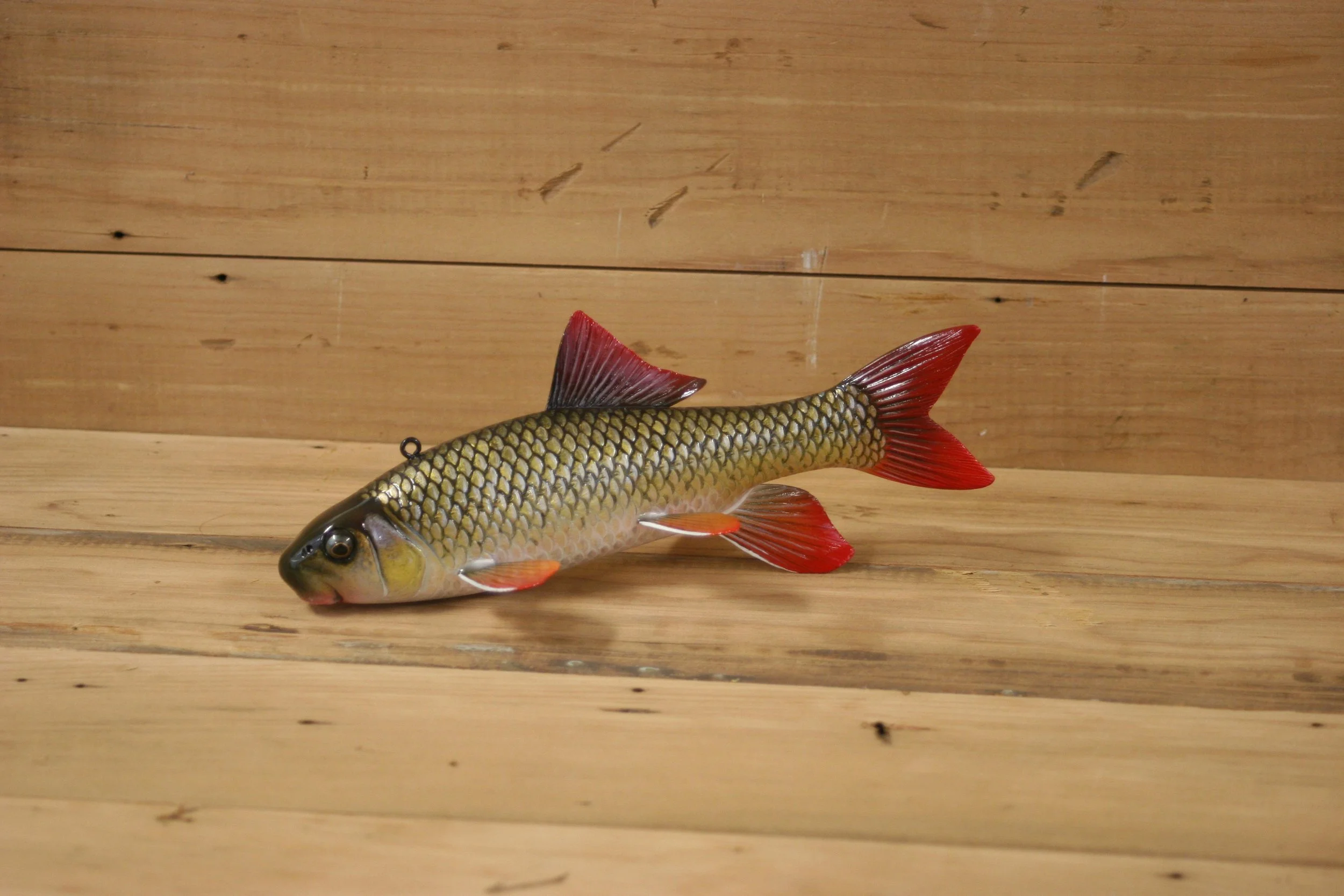 1st place: 8" Sucker by Jacob Sazama