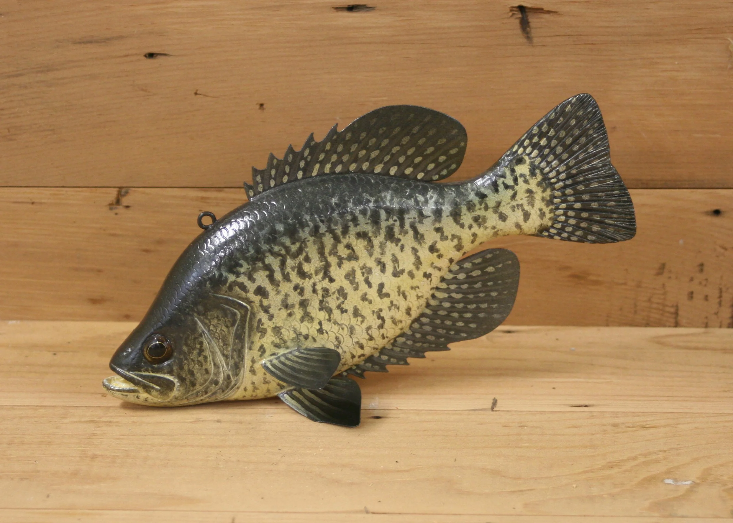 8" Black Crappie Jr. Division by Jacob Sazama