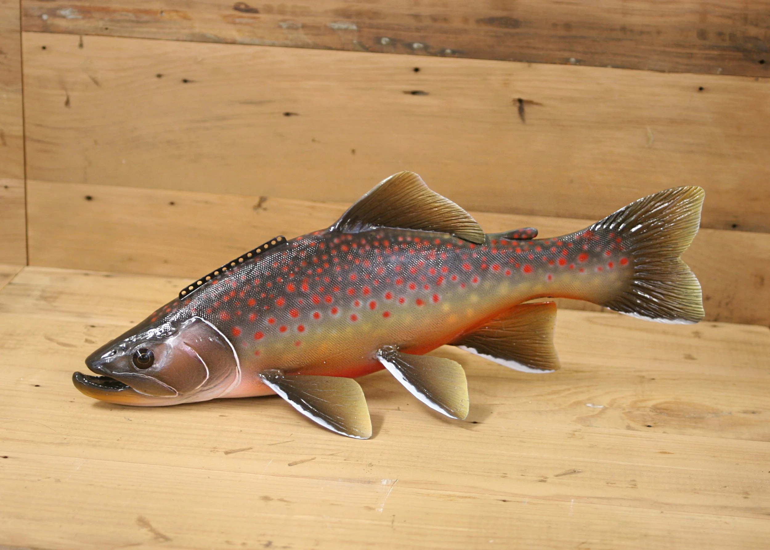 14" Airbrush Arctic Char by Harley Ragan