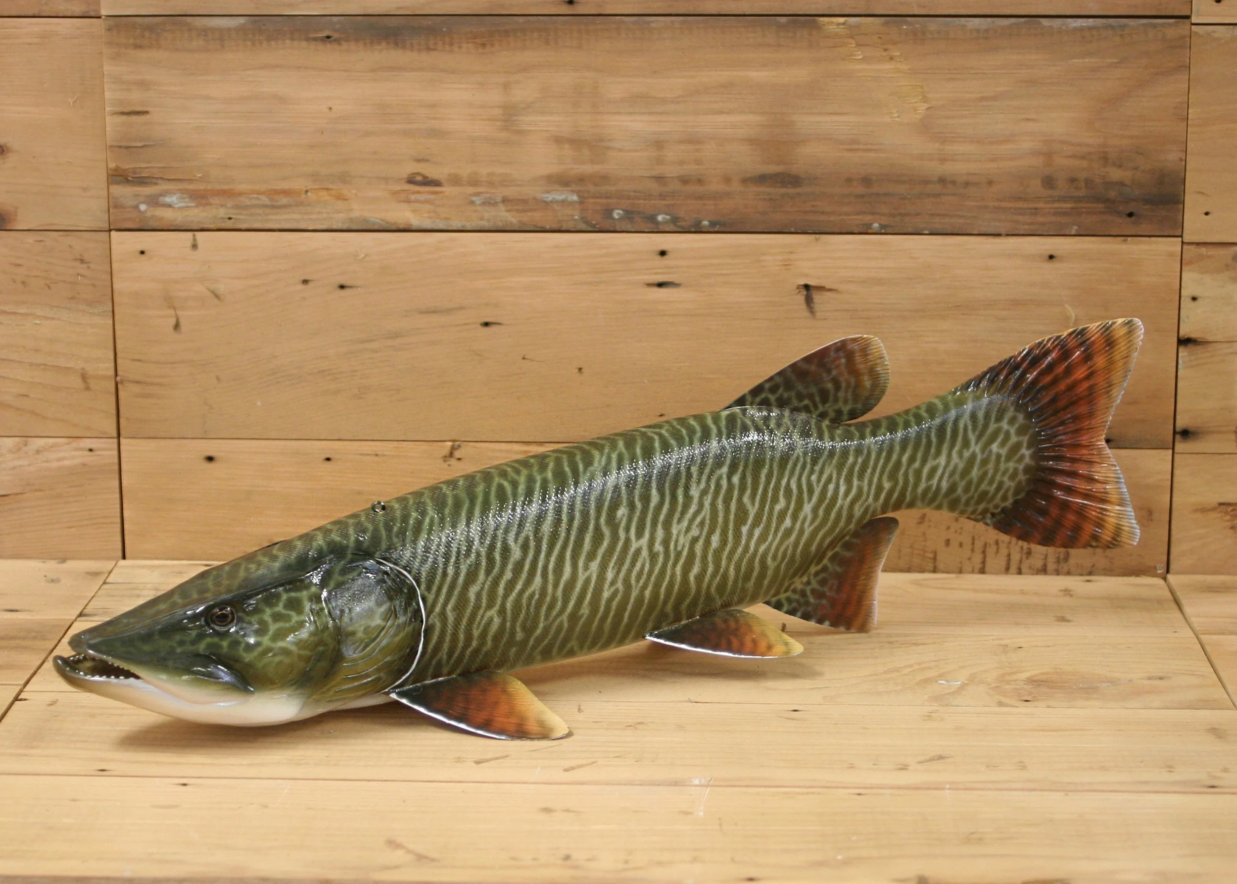 20" Airbrush Tiger Muskie by Harley Ragan