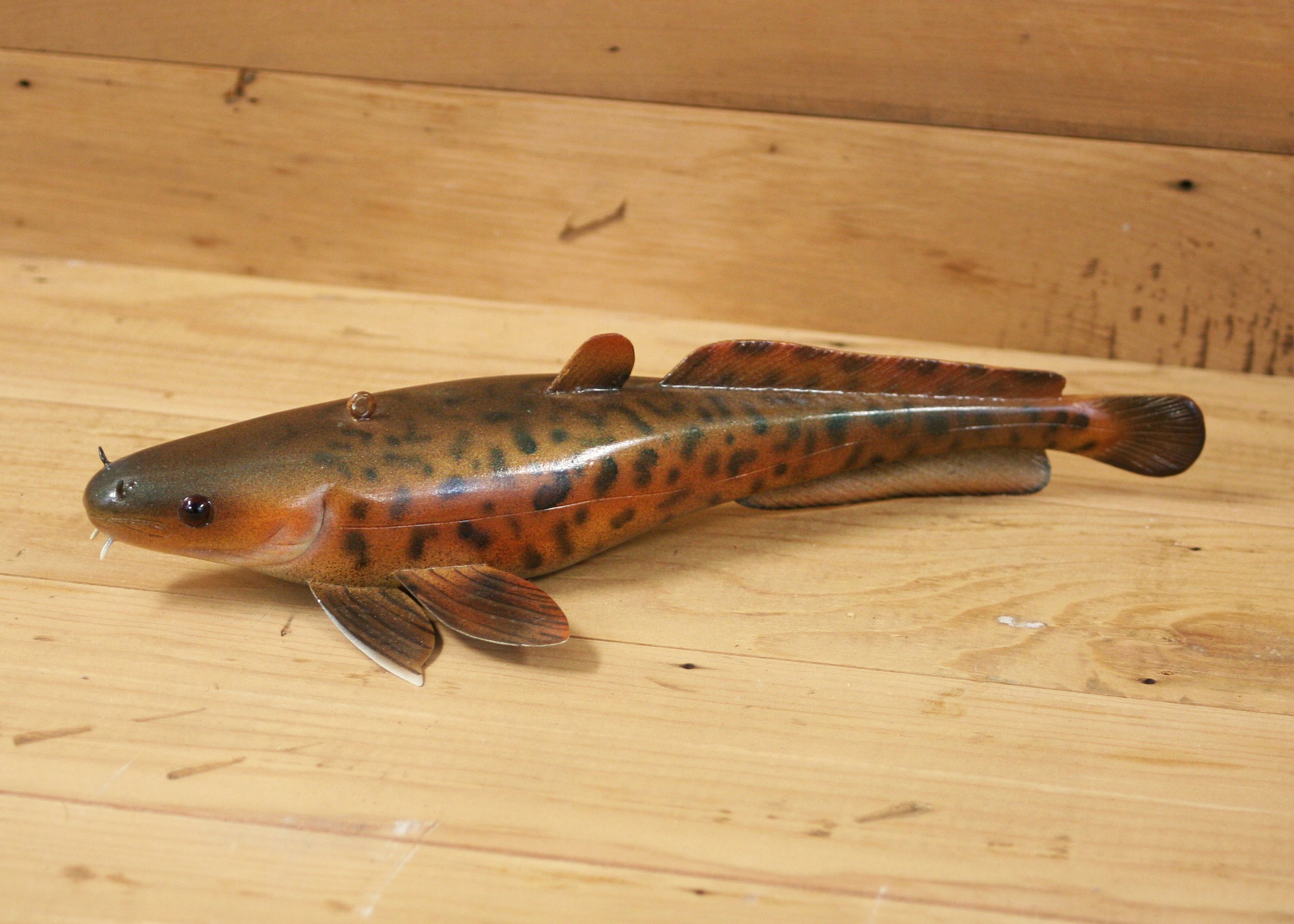 11" Airbrush Eelpout by Larry Lange