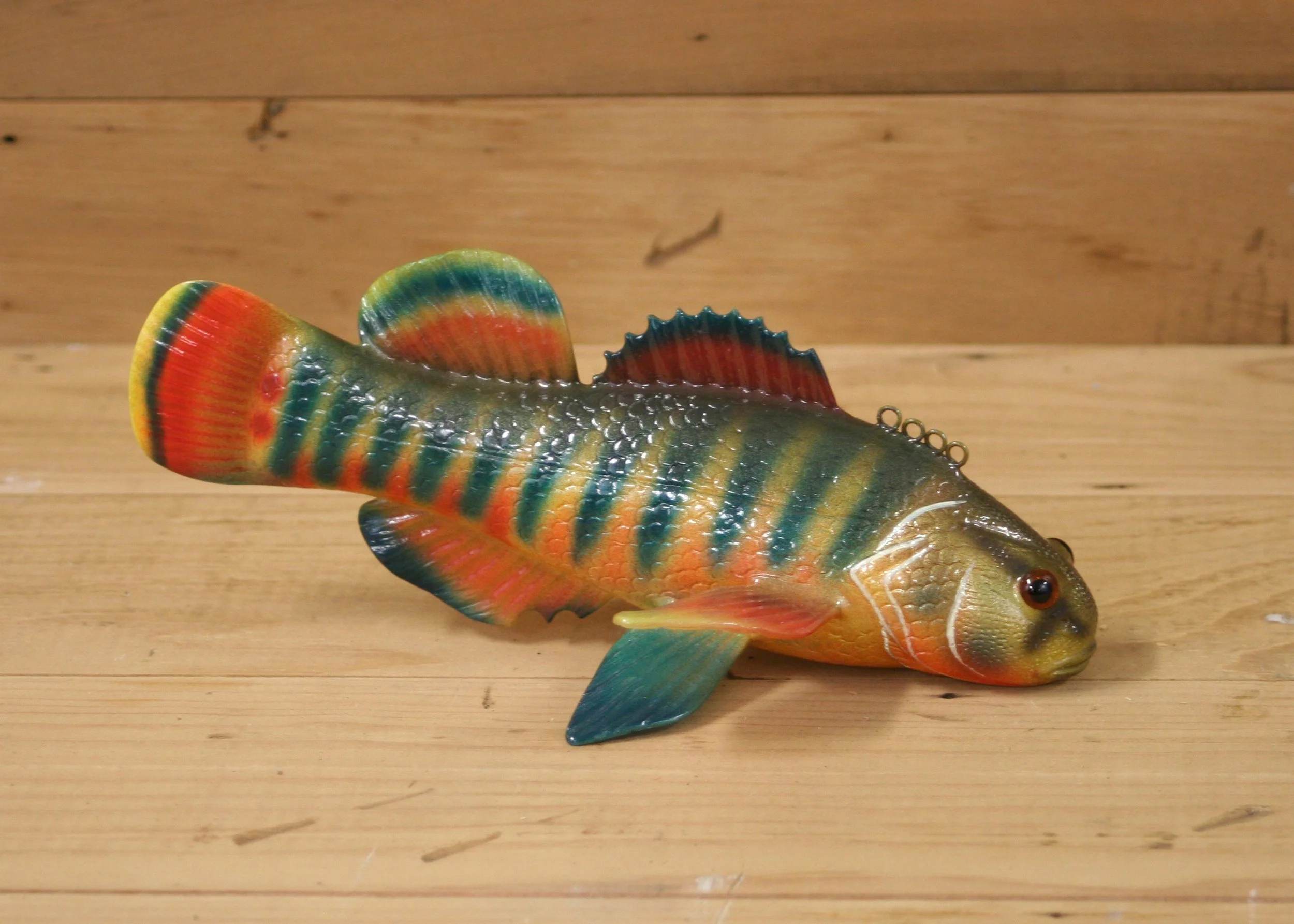 8" Airbrush Male Rainbow Darter by Paul McNeal