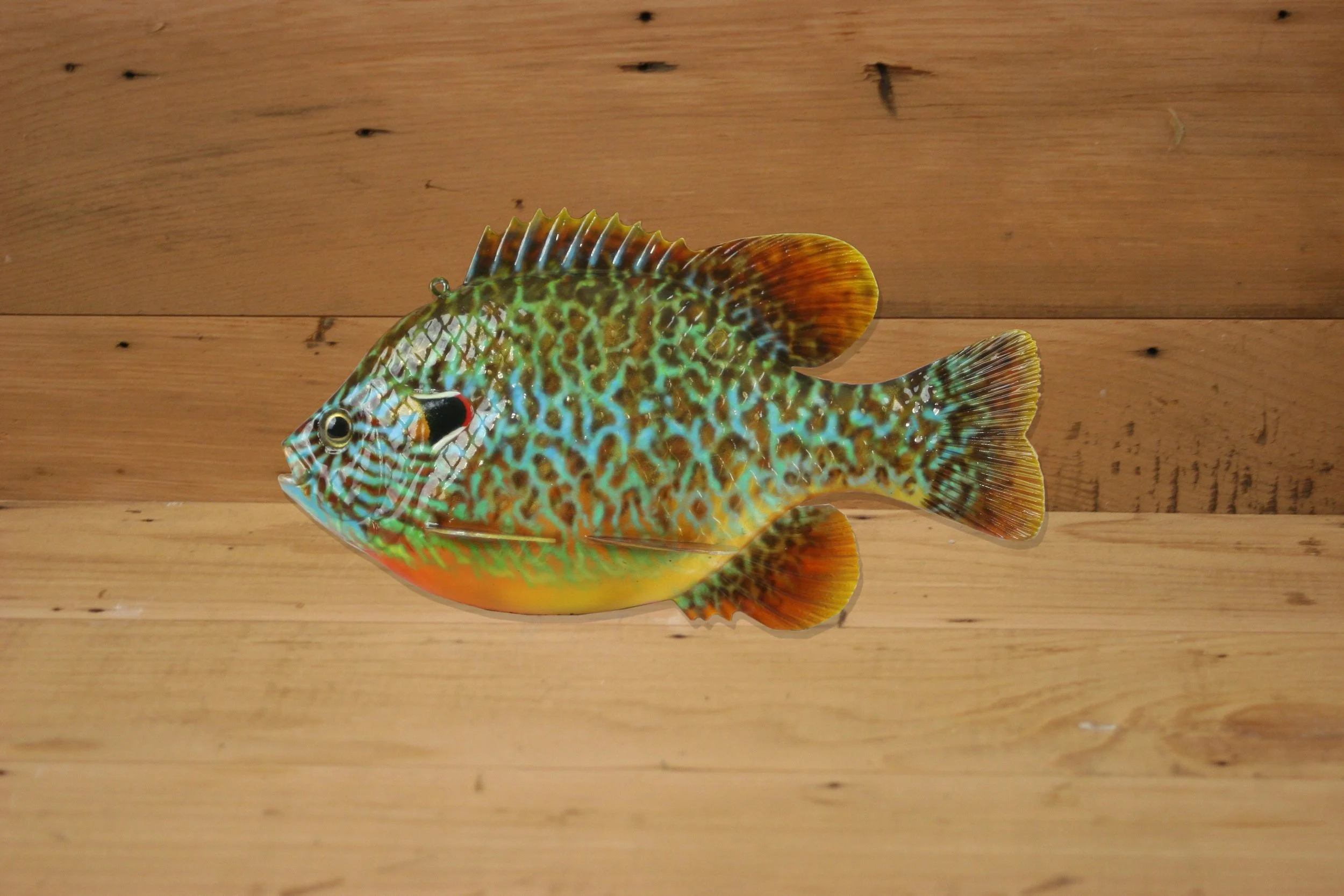 8" Pumpkinseed Sunfish by Harley Ragan
