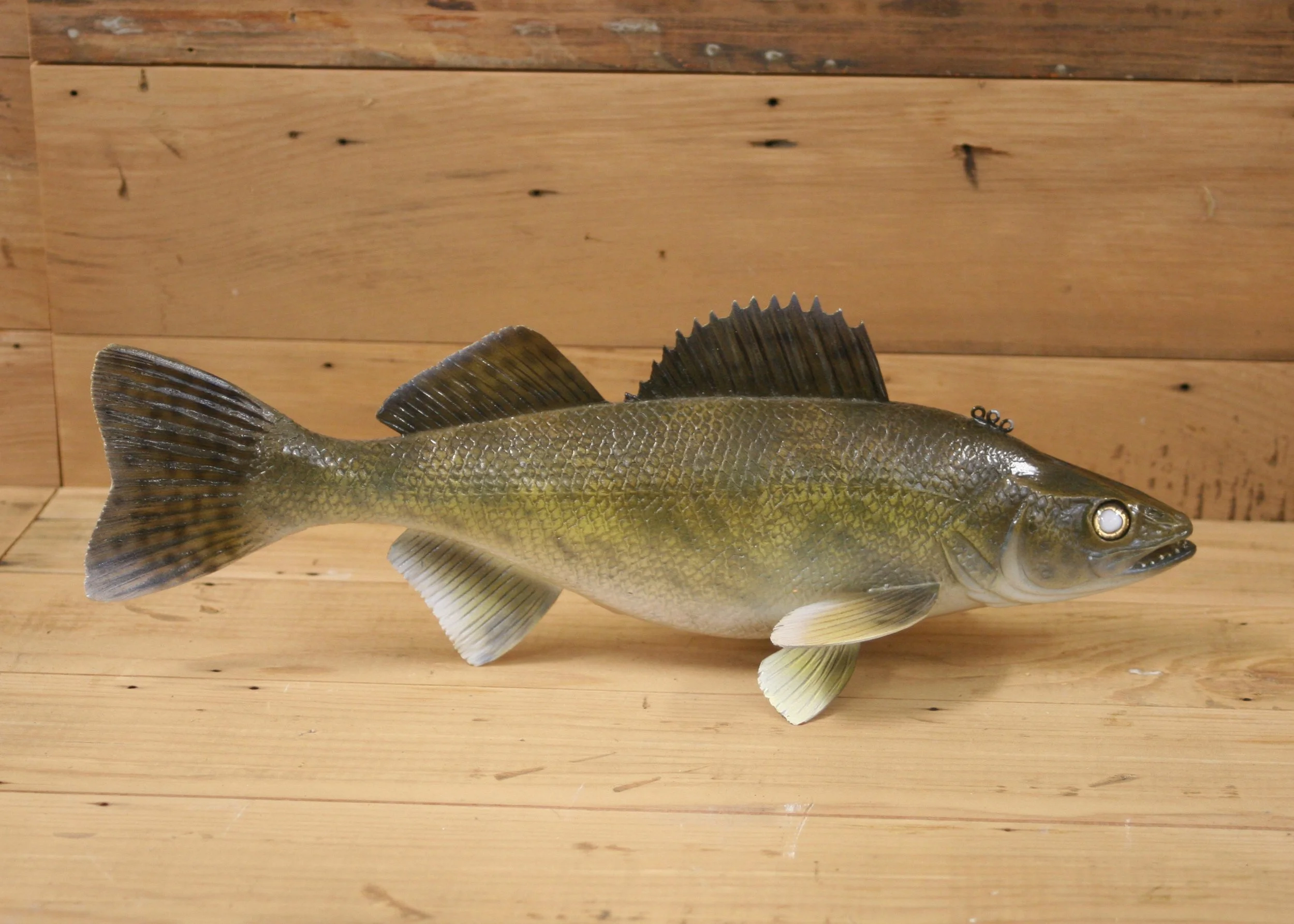 14" Airbrush Walleye by Bob Johnson