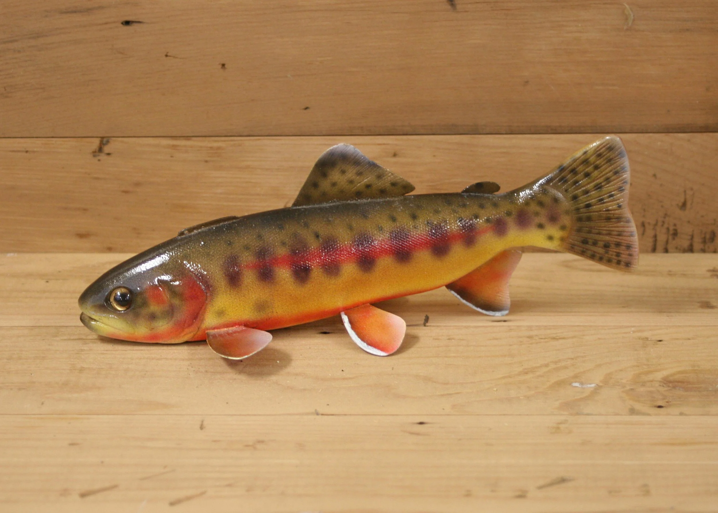 10" Golden Trout Jr. Division by Matt Yager