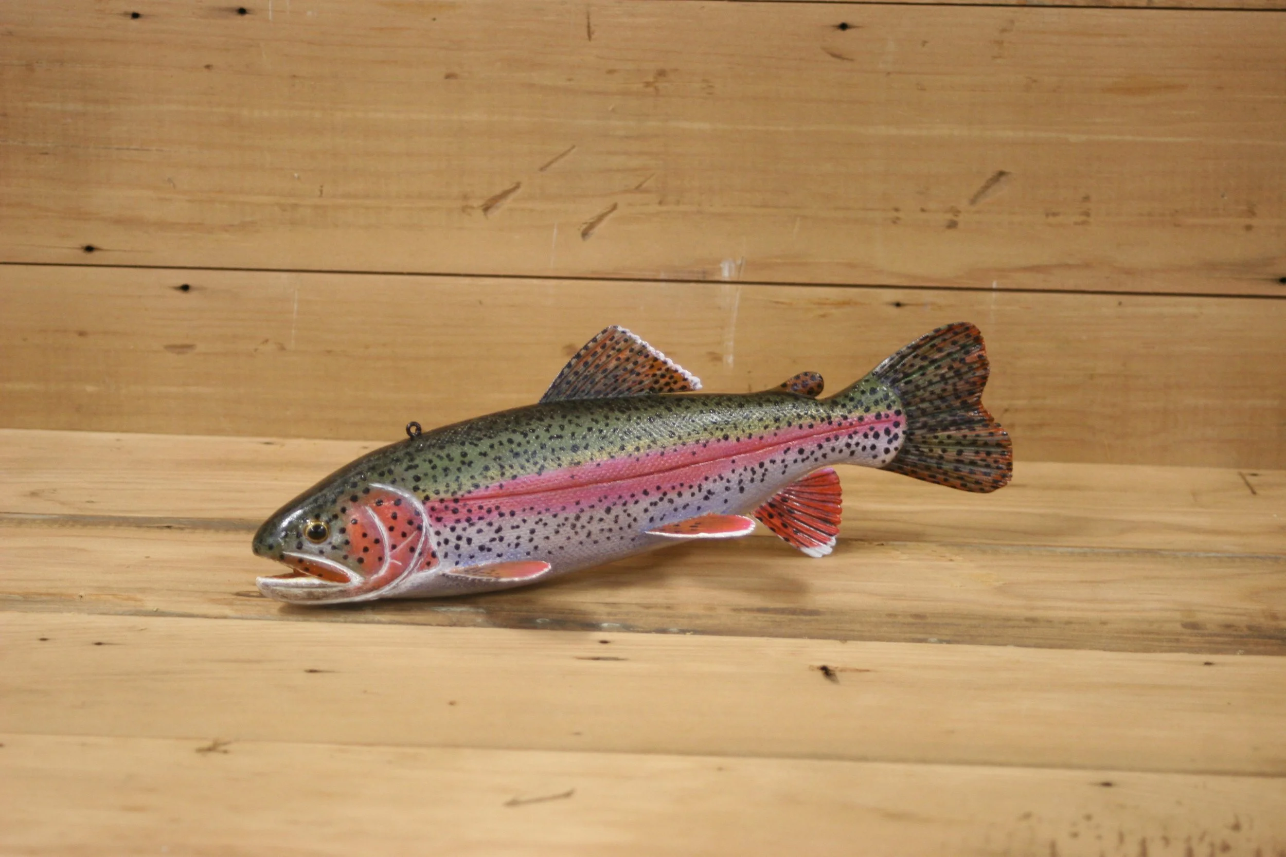 5th place: 10" Rainbow Trout by Brian Shallbetter