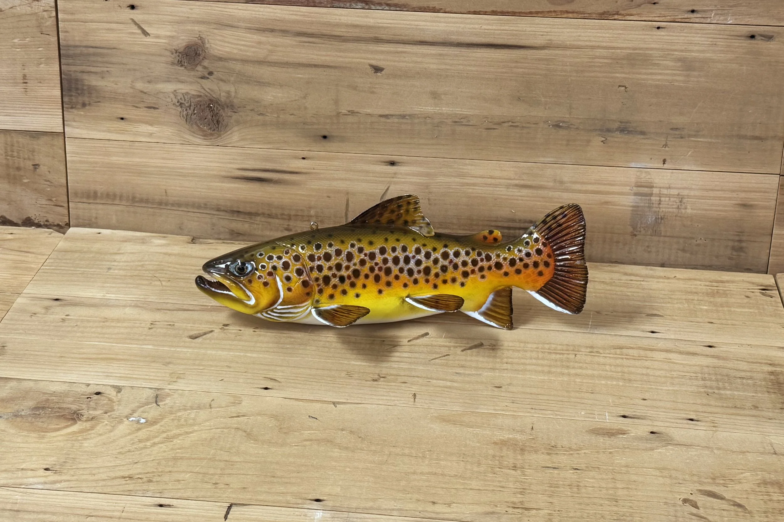 9" Brown Trout by Harley Ragan
