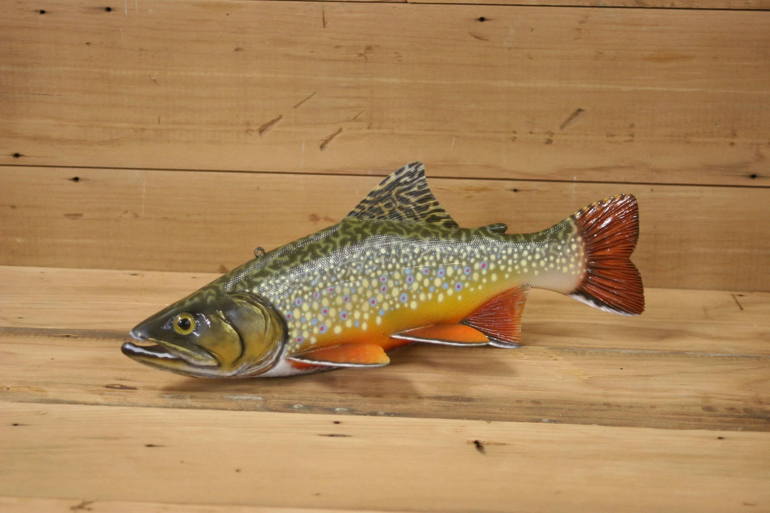 11" Brook Trout by Harley Ragan