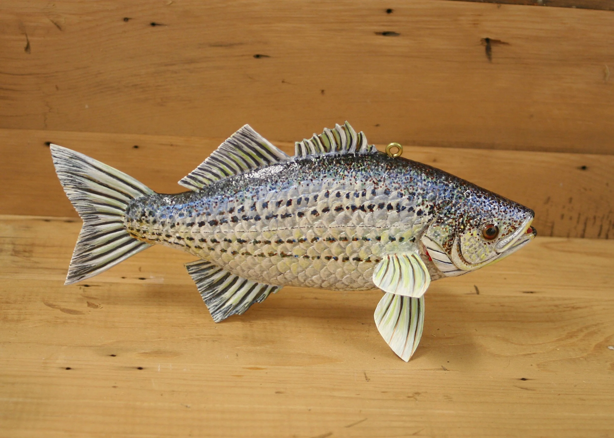 11" Hand Painted White Bass by Gary Kaminen