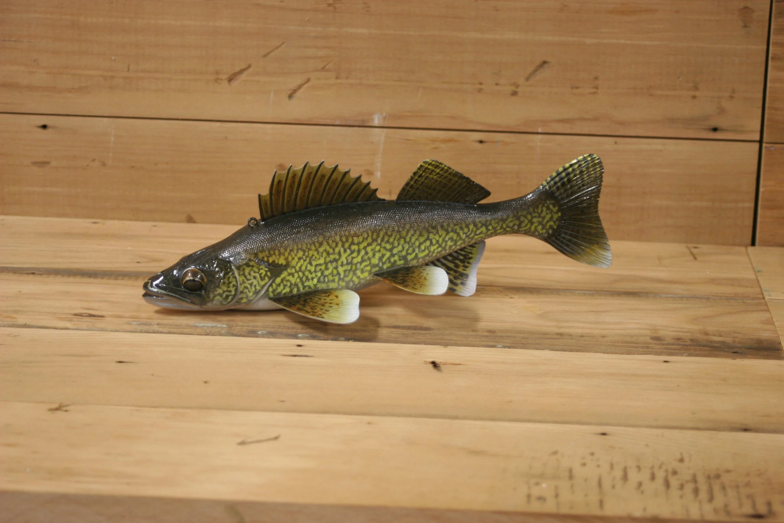 2nd place: 10" Walleye by Harley Ragan