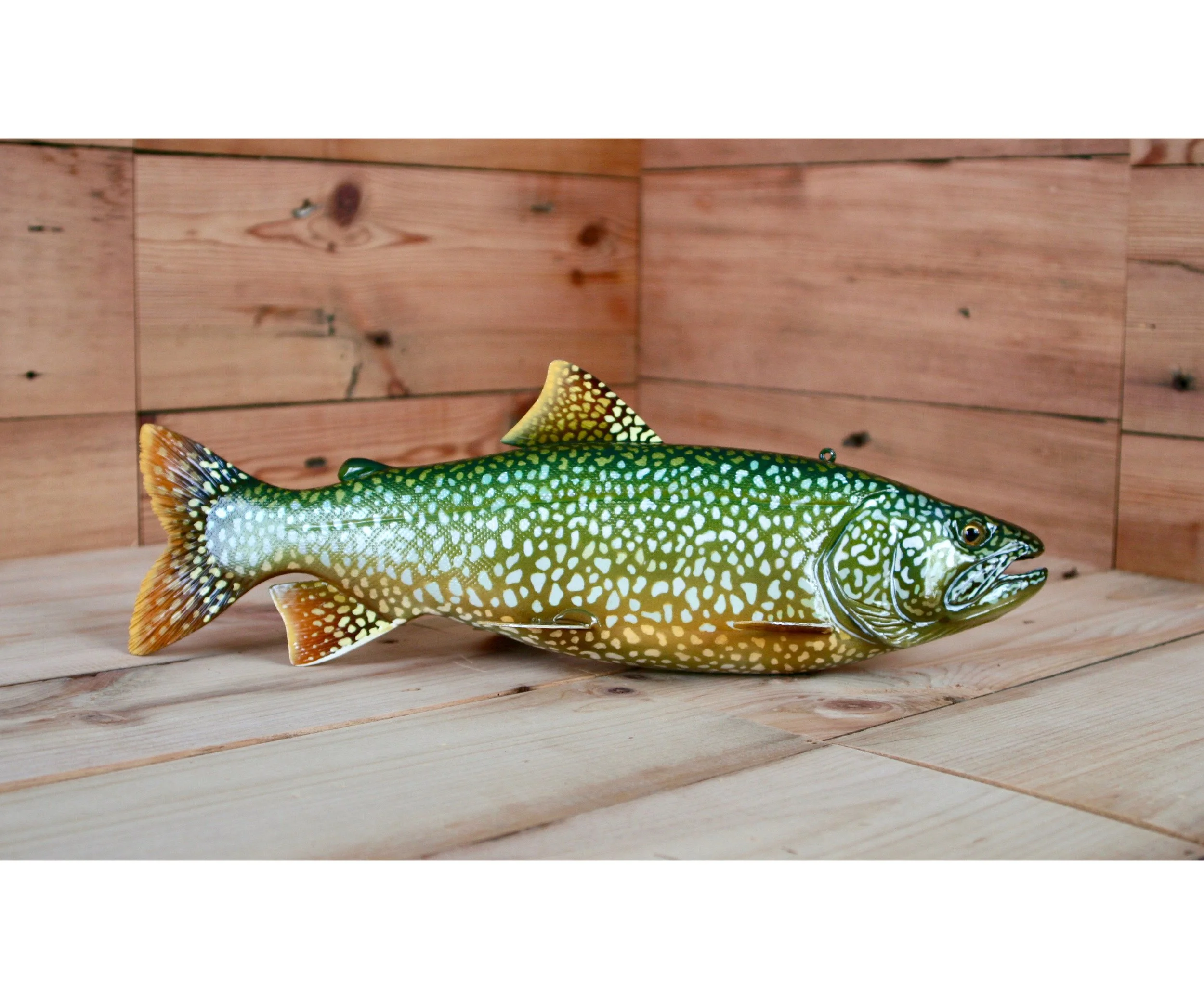 14" Breeding Male Lake Trout by Harley Ragan