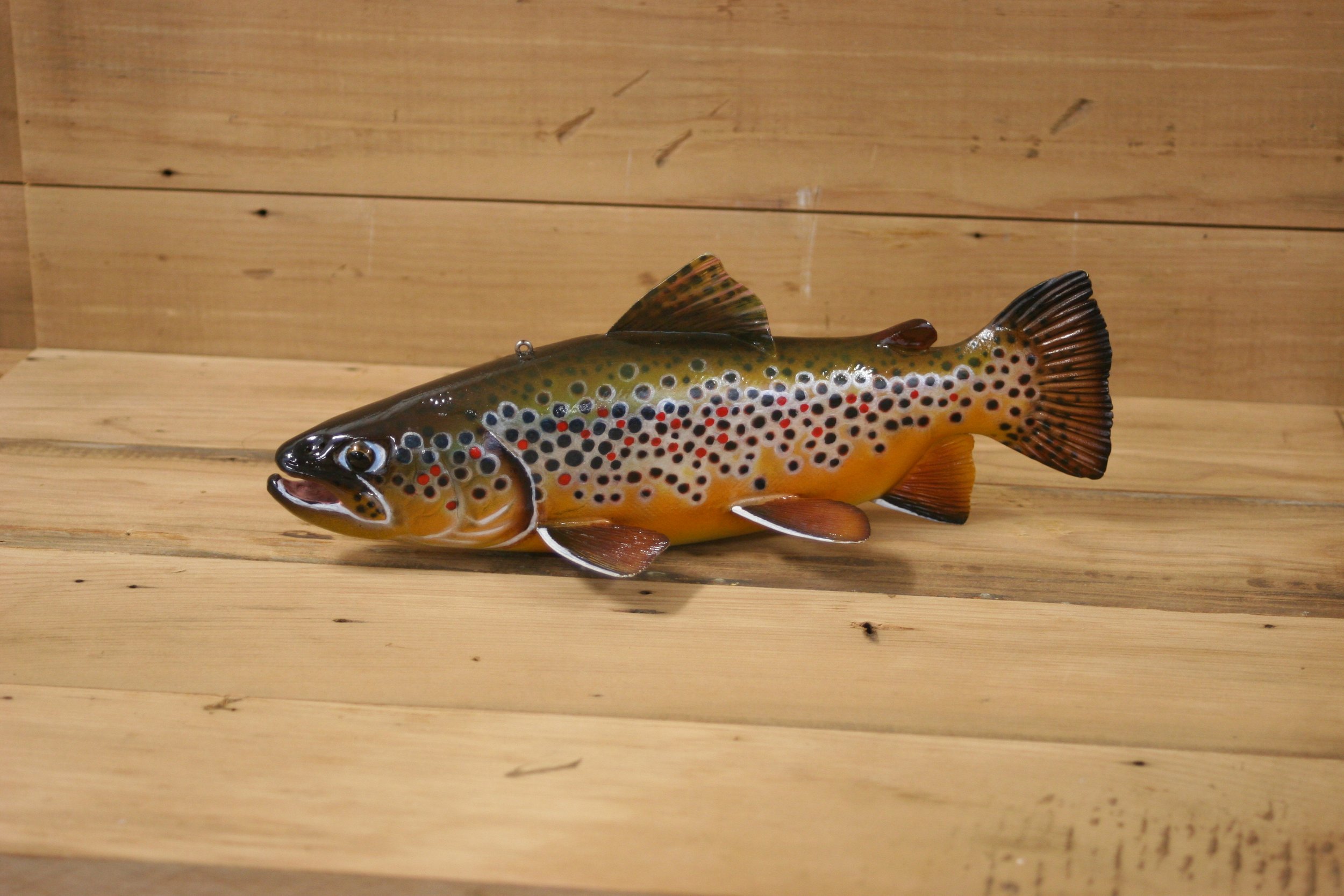 4th place: 10" Brown Trout by Harley Ragan