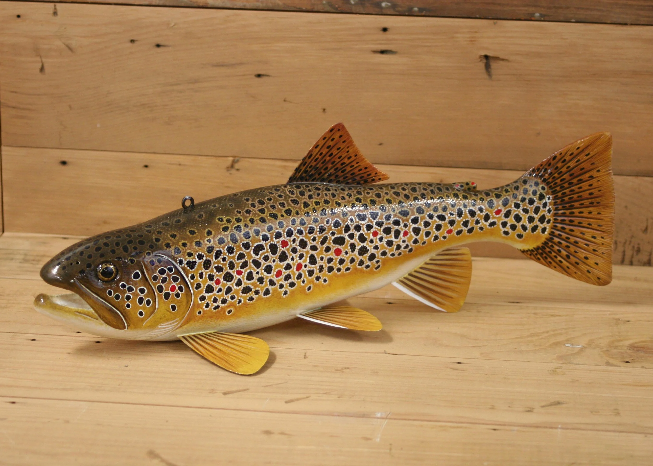14" Hand Painted Brown Trout by Jacob Sazama