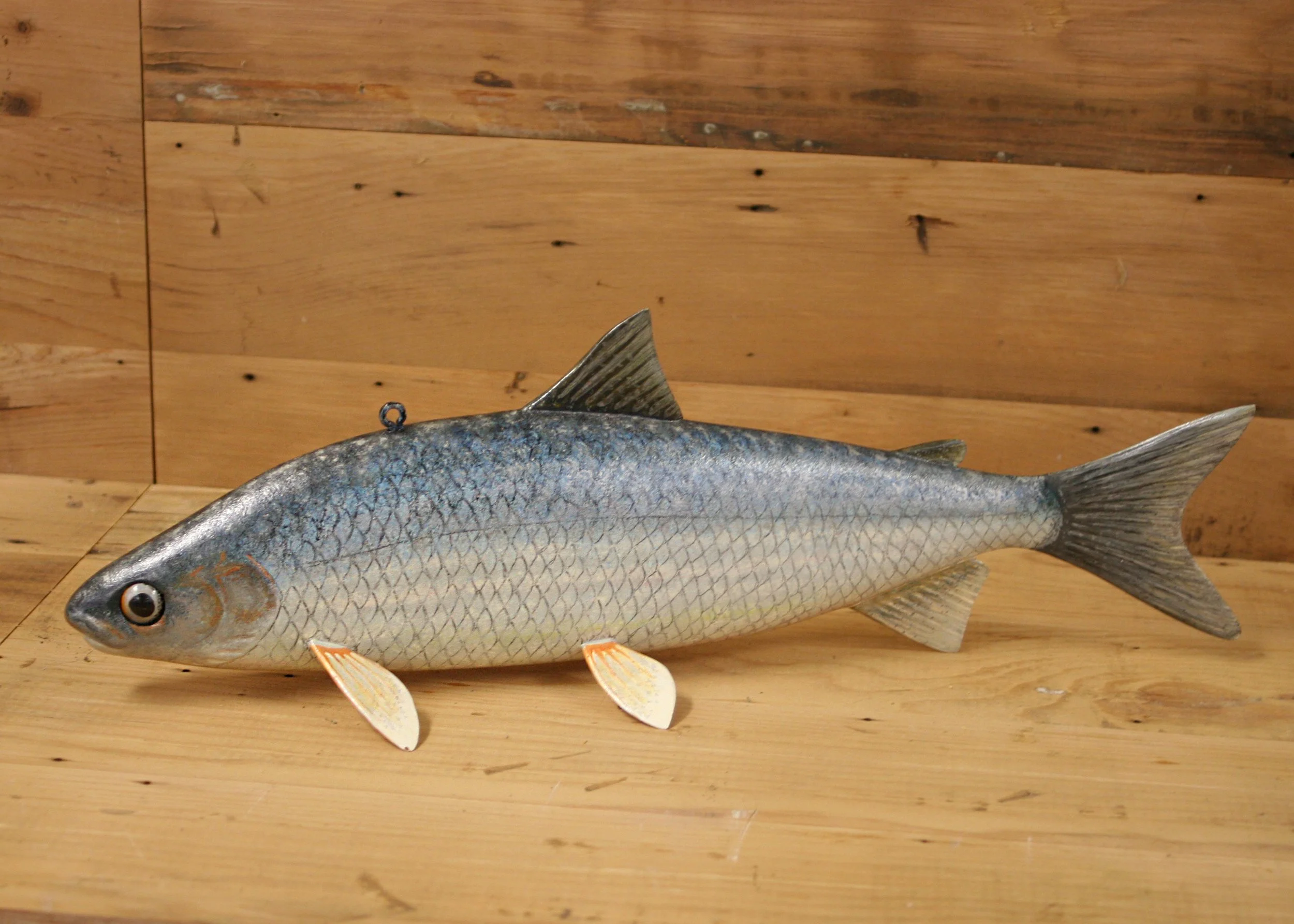 17" Hand Painted Whitefish by Harry Phillips