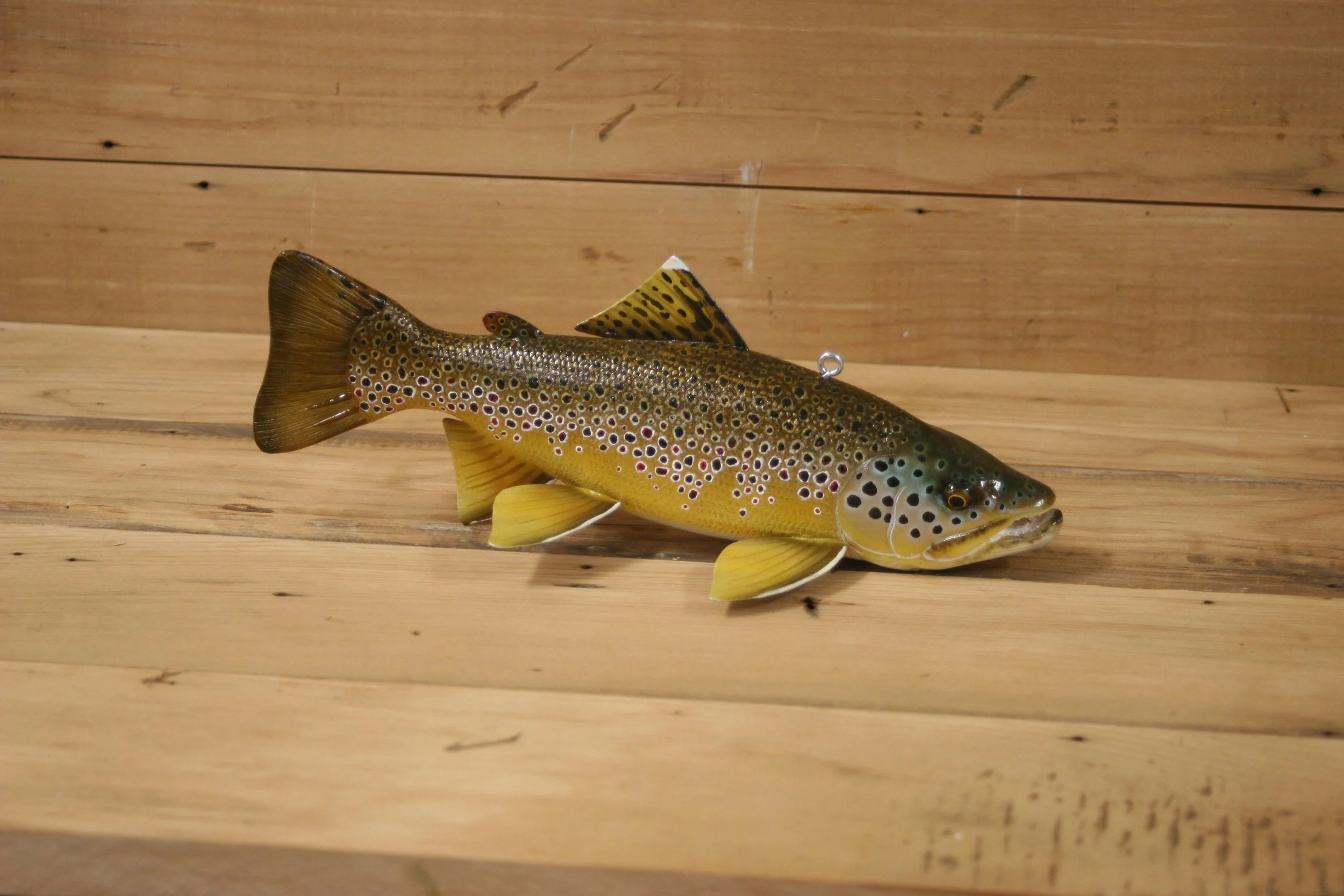 3rd place: 10" Brown Trout by Zach Pawlowski