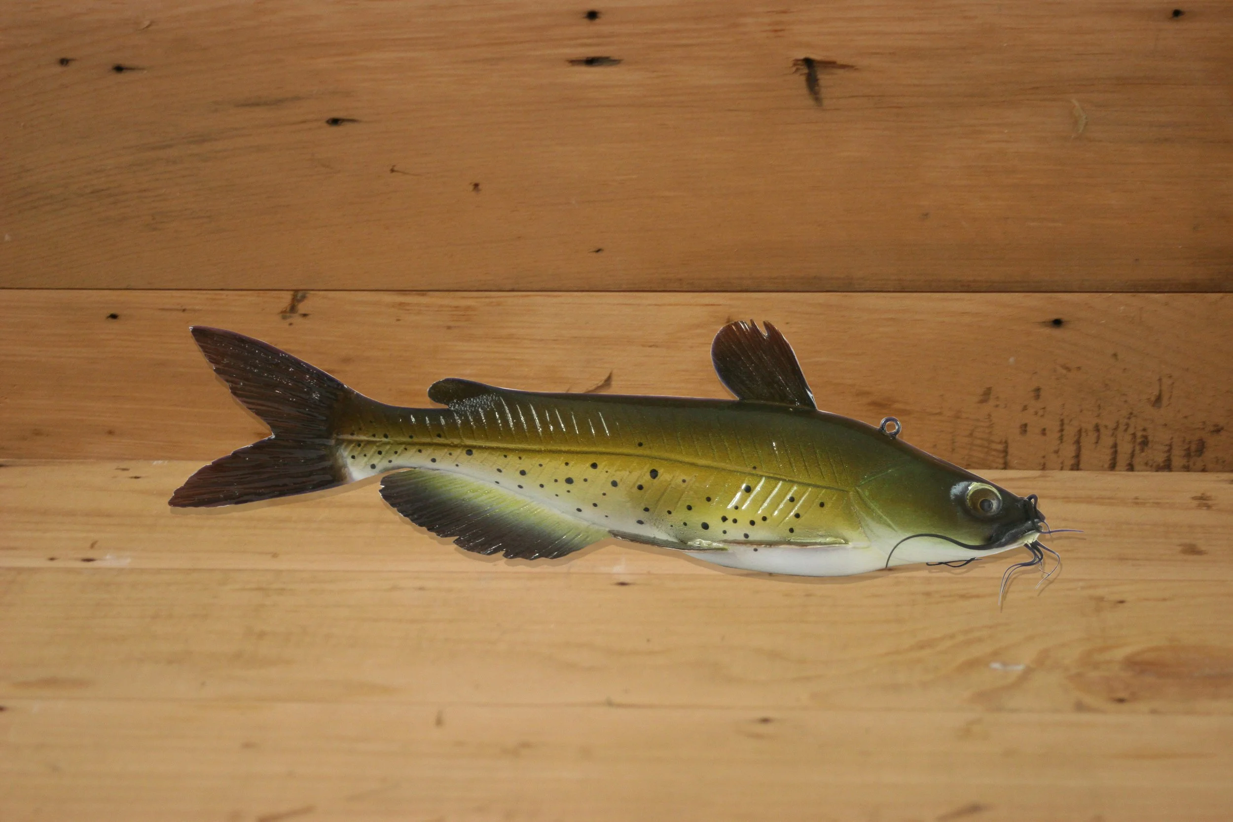 9" Channel Catfish by Eric Wallace