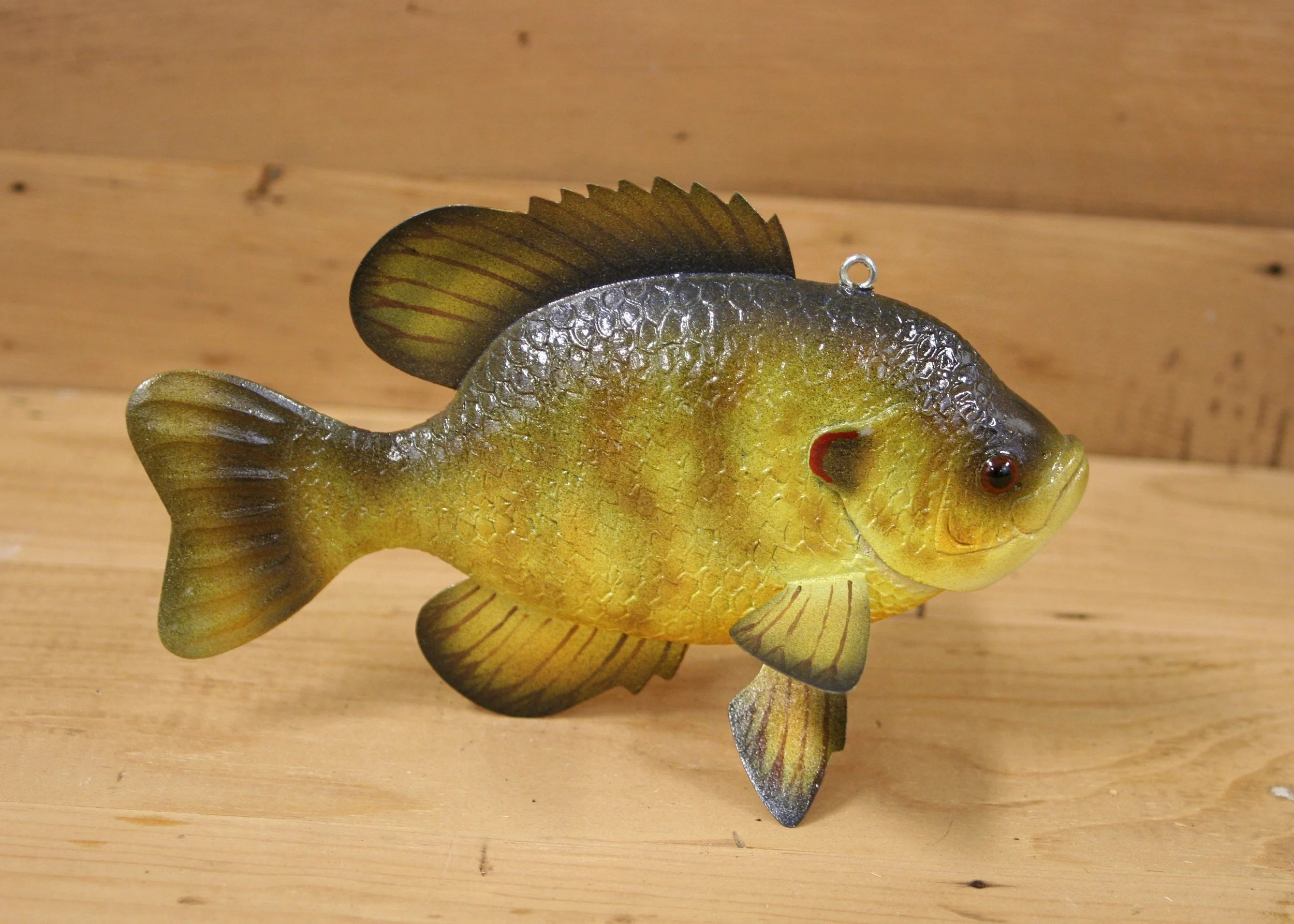 7" Airbrush Red Ear Sunfish by Sharon Thomas