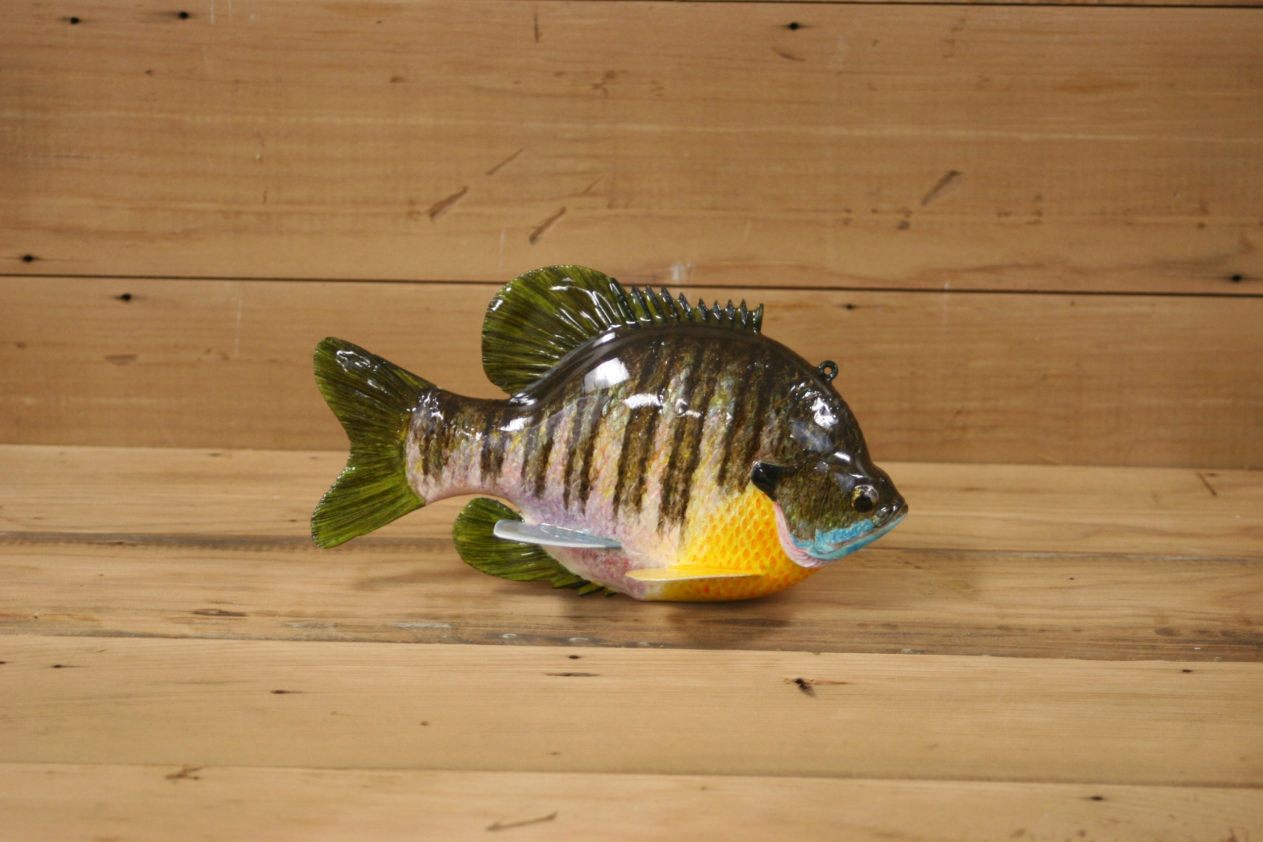 5th Place: 8" Bluegill by Eric Wallace