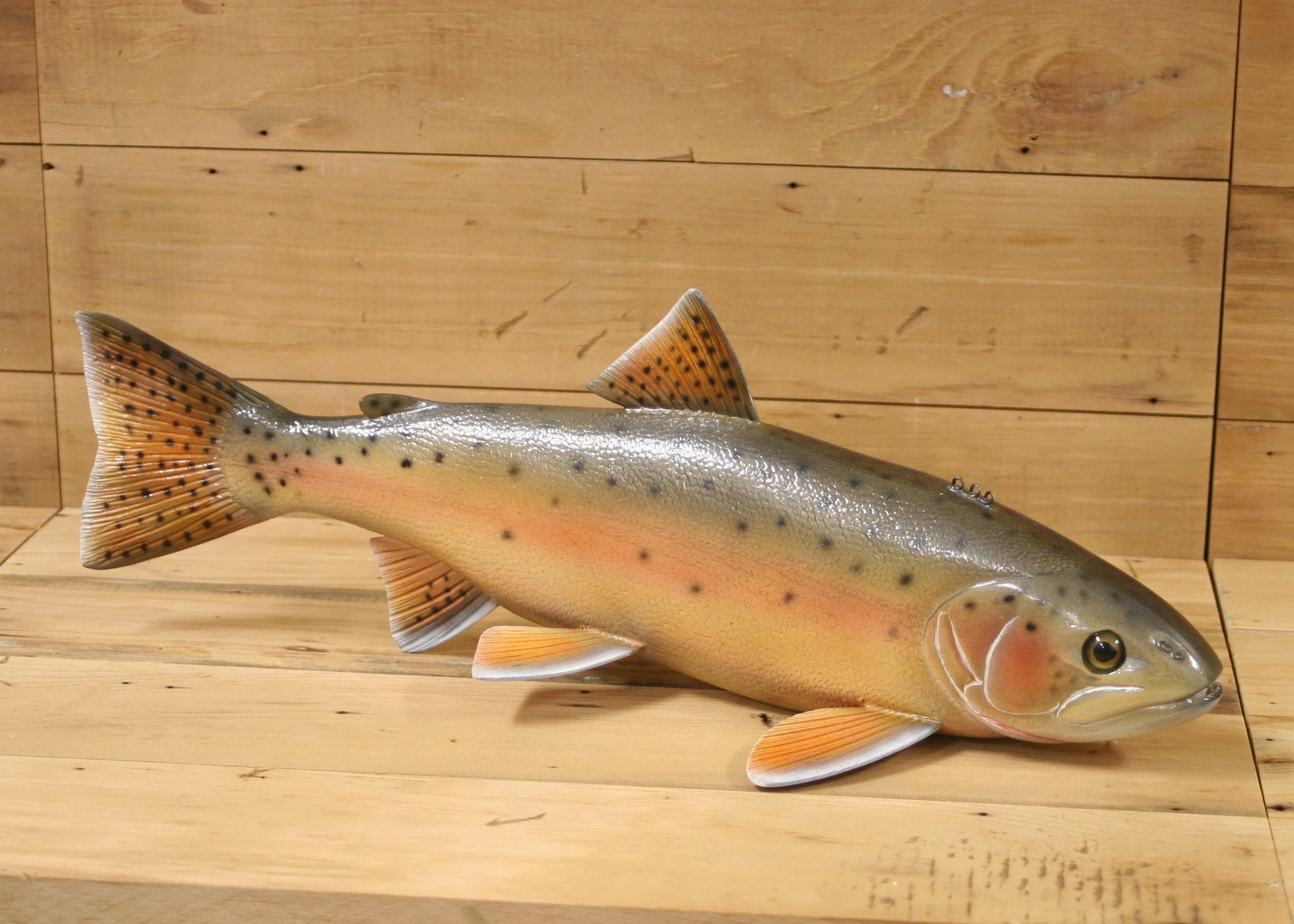 18" Airbrush Lahontan Cutthroat by Gary Hull