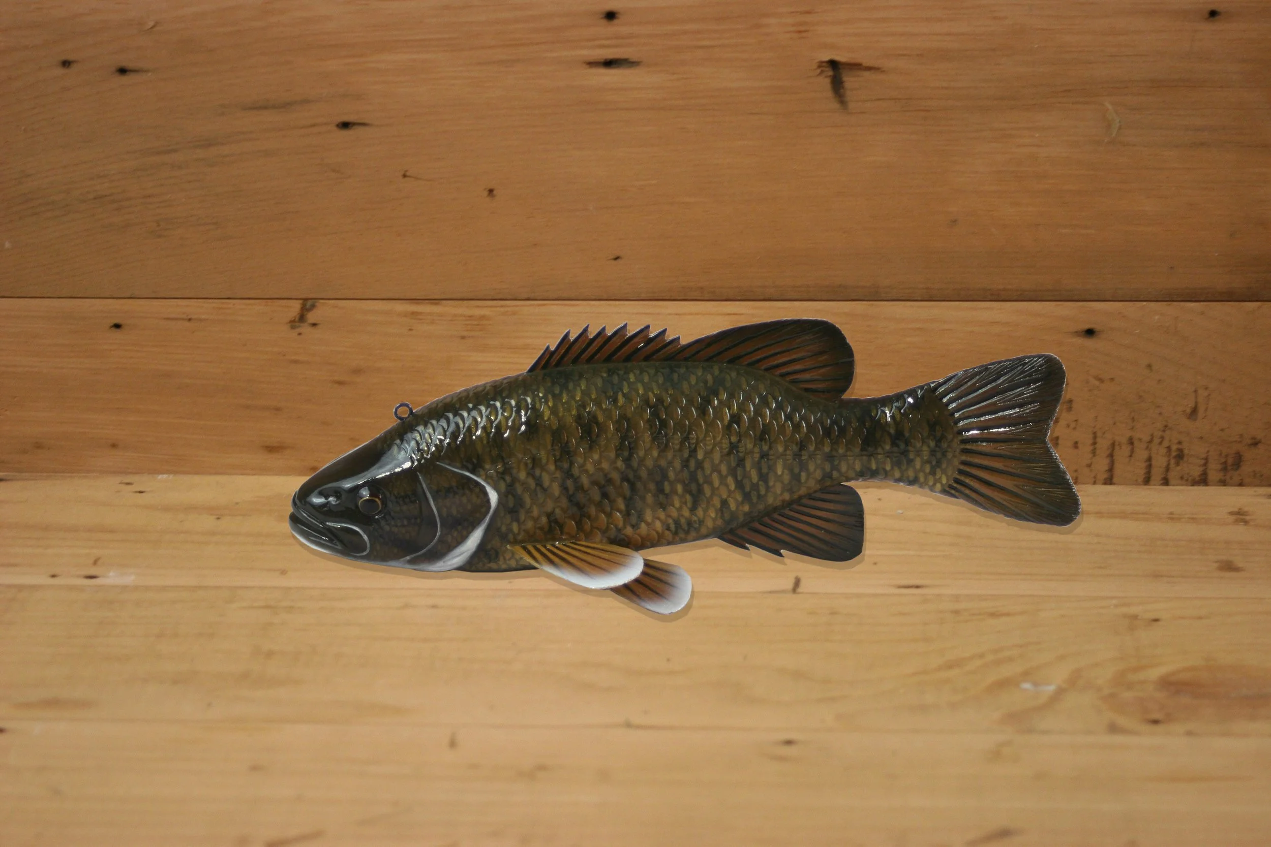 8" Smallmouth Bass by Tony Sazama