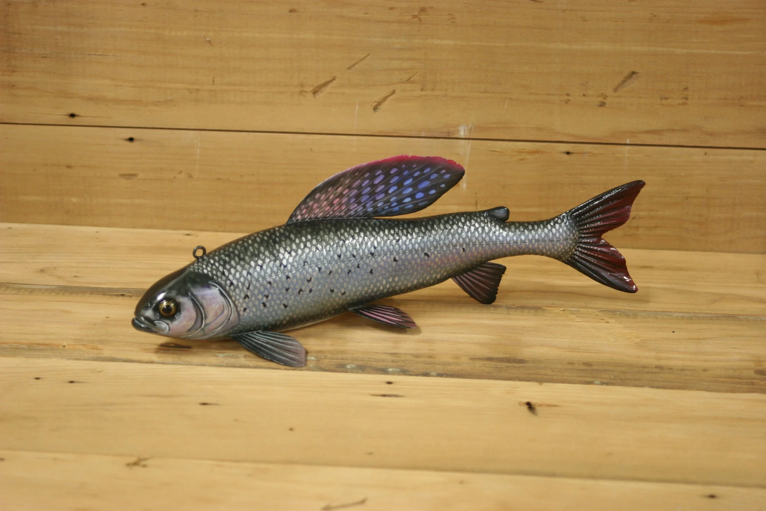 11" Grayling by Jacob Sazama