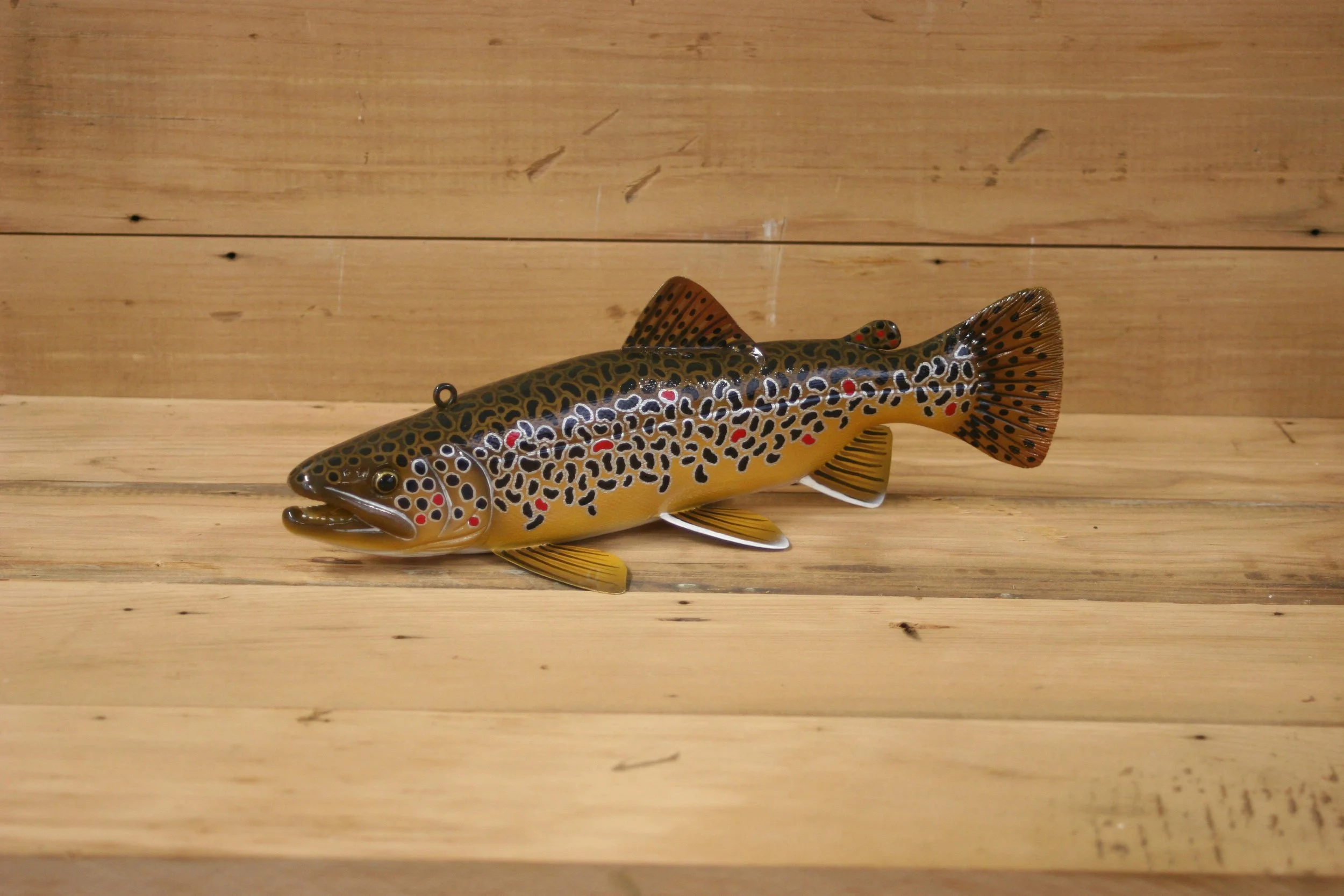 10" Brown Trout Jr. Division by Tony Sazama