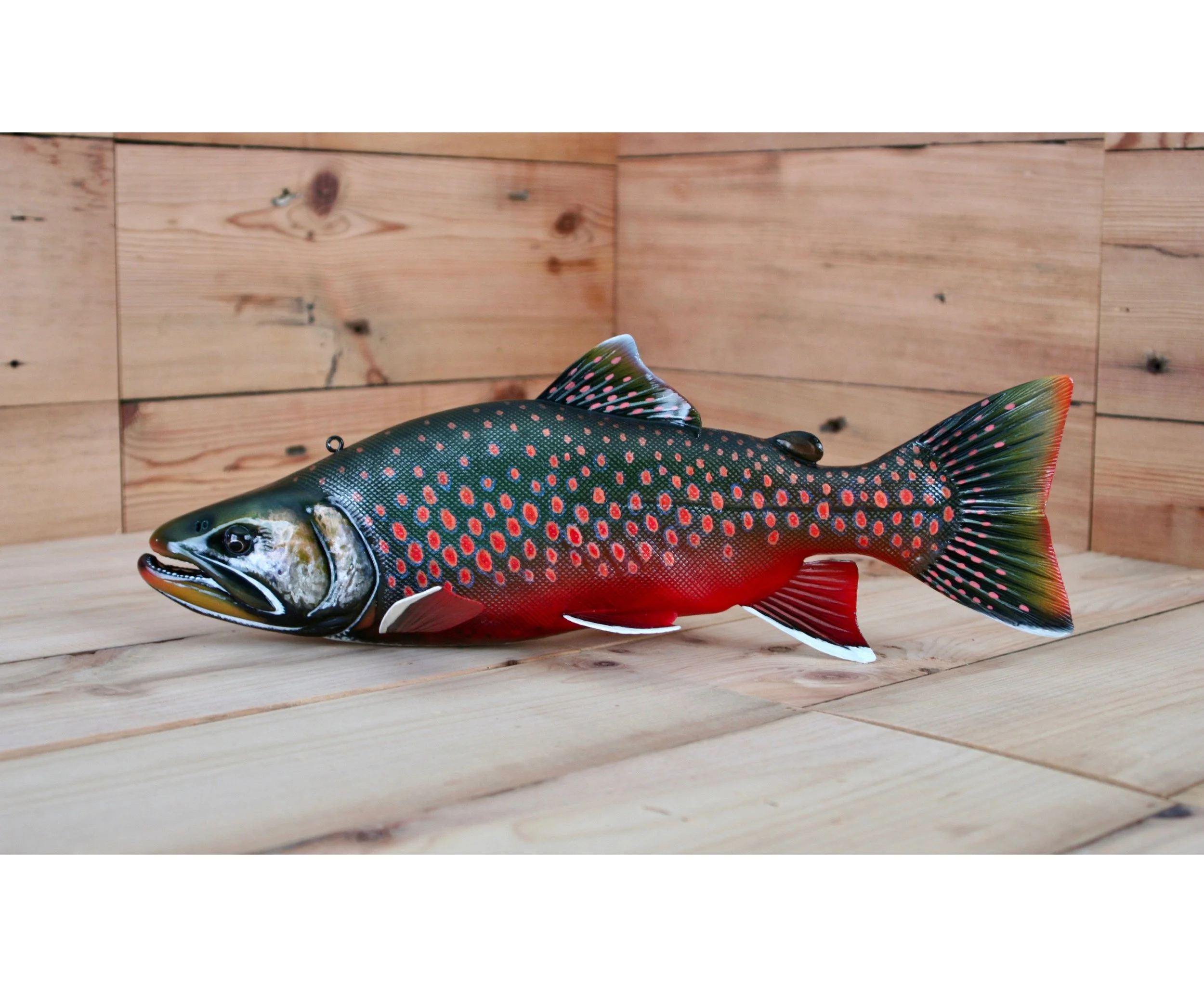 14" Breeding Male Arctic Char by Jacob Sazama