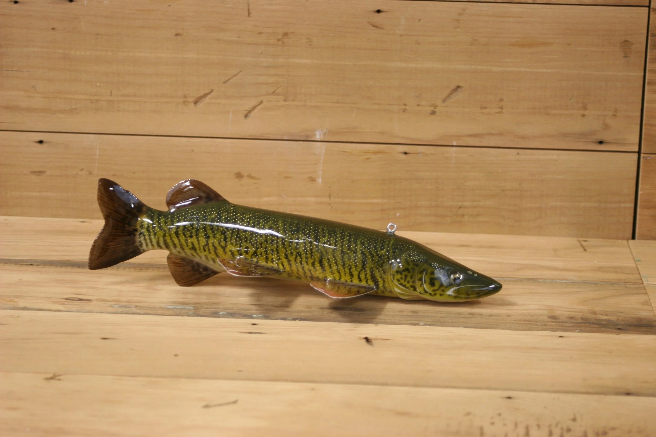 4th place: 11" Tiger Muskie by Eric Wallace