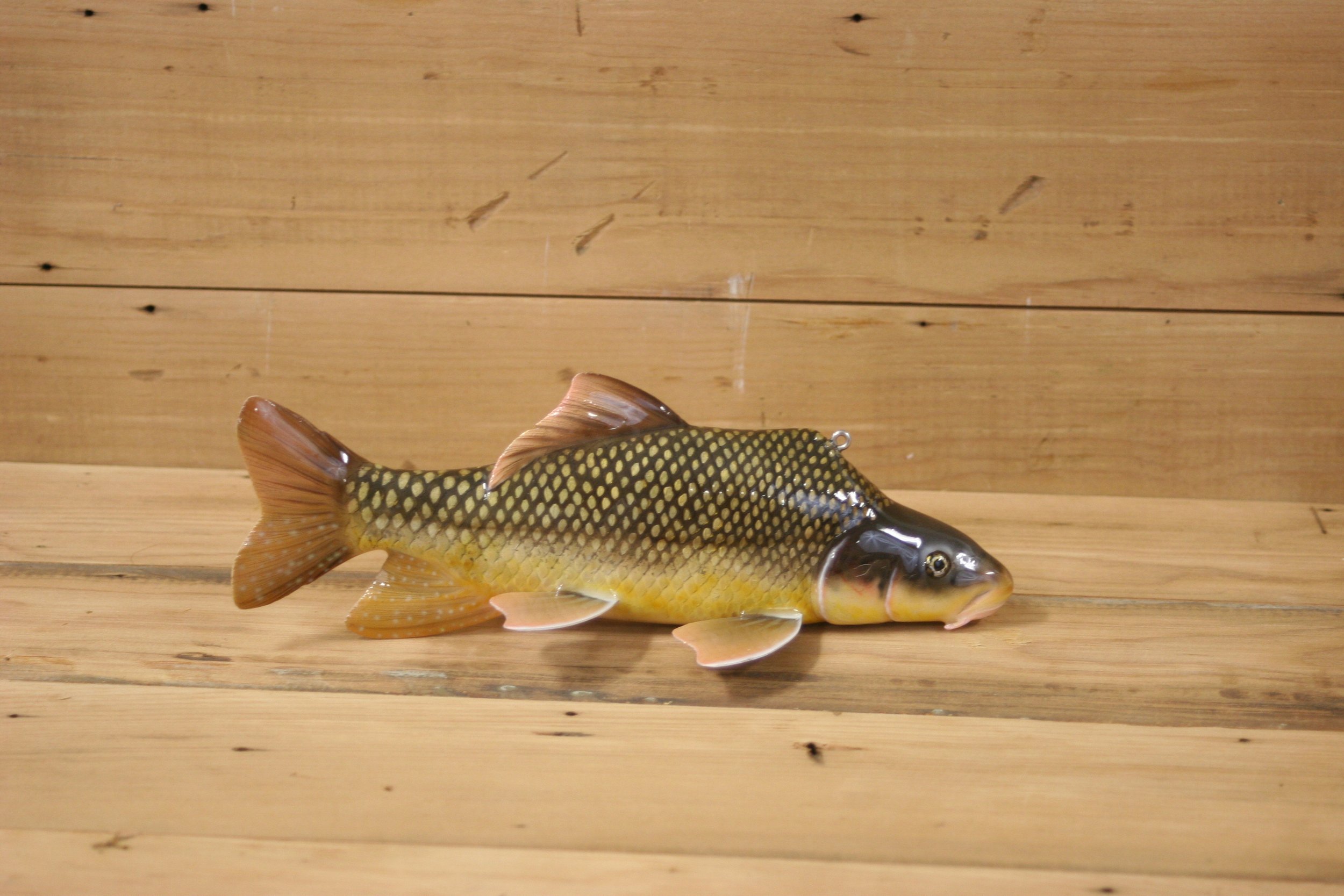 4th place: 9" Sucker by Eric Wallace