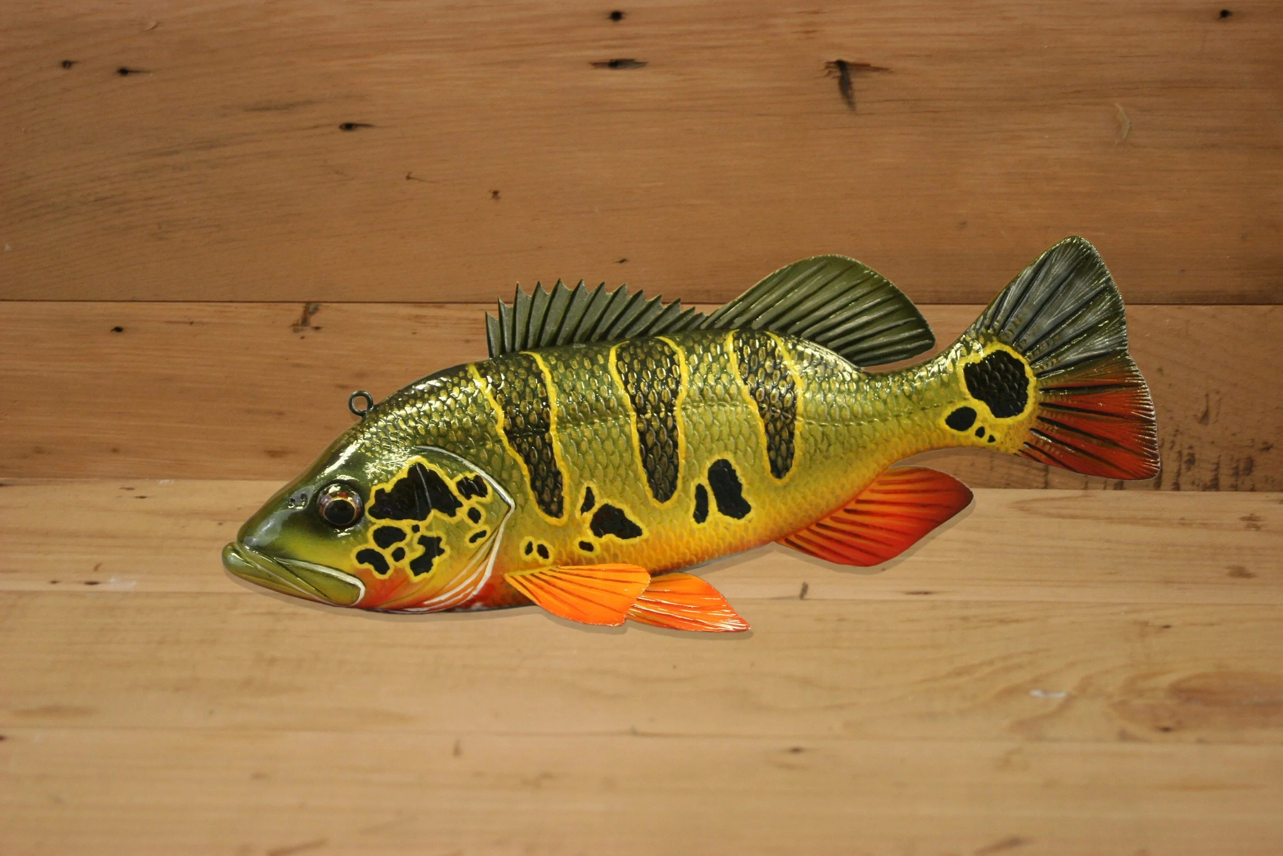 10" Peacock Bass by Jacob Sazama