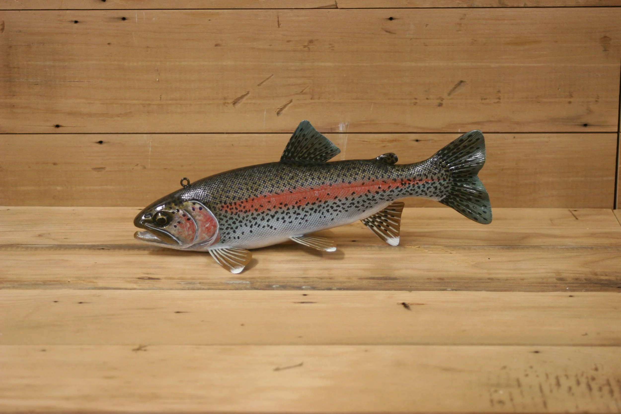 10" Hand Painted Rainbow Trout by Jacob Sazama