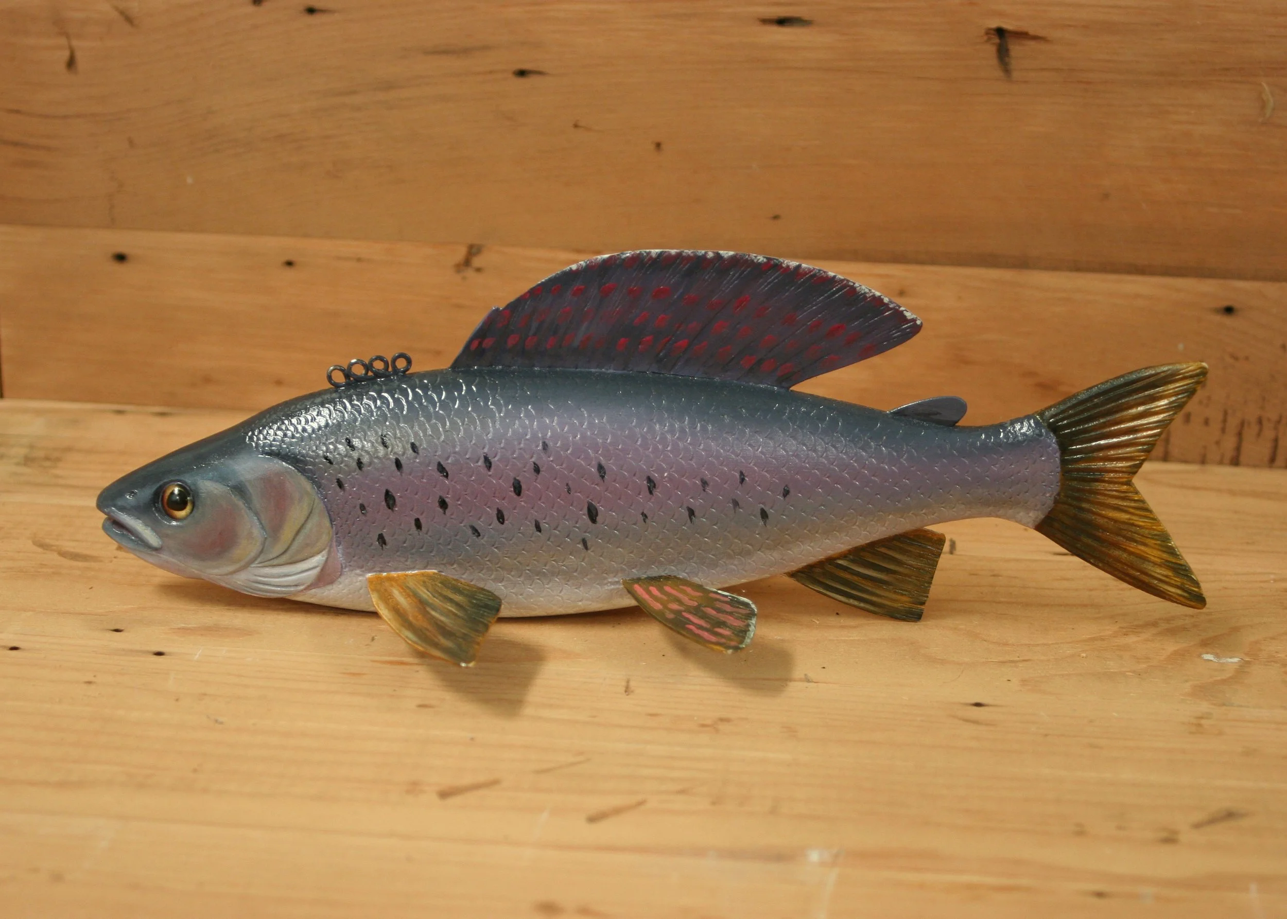 12" Grayling by Bob Johnson