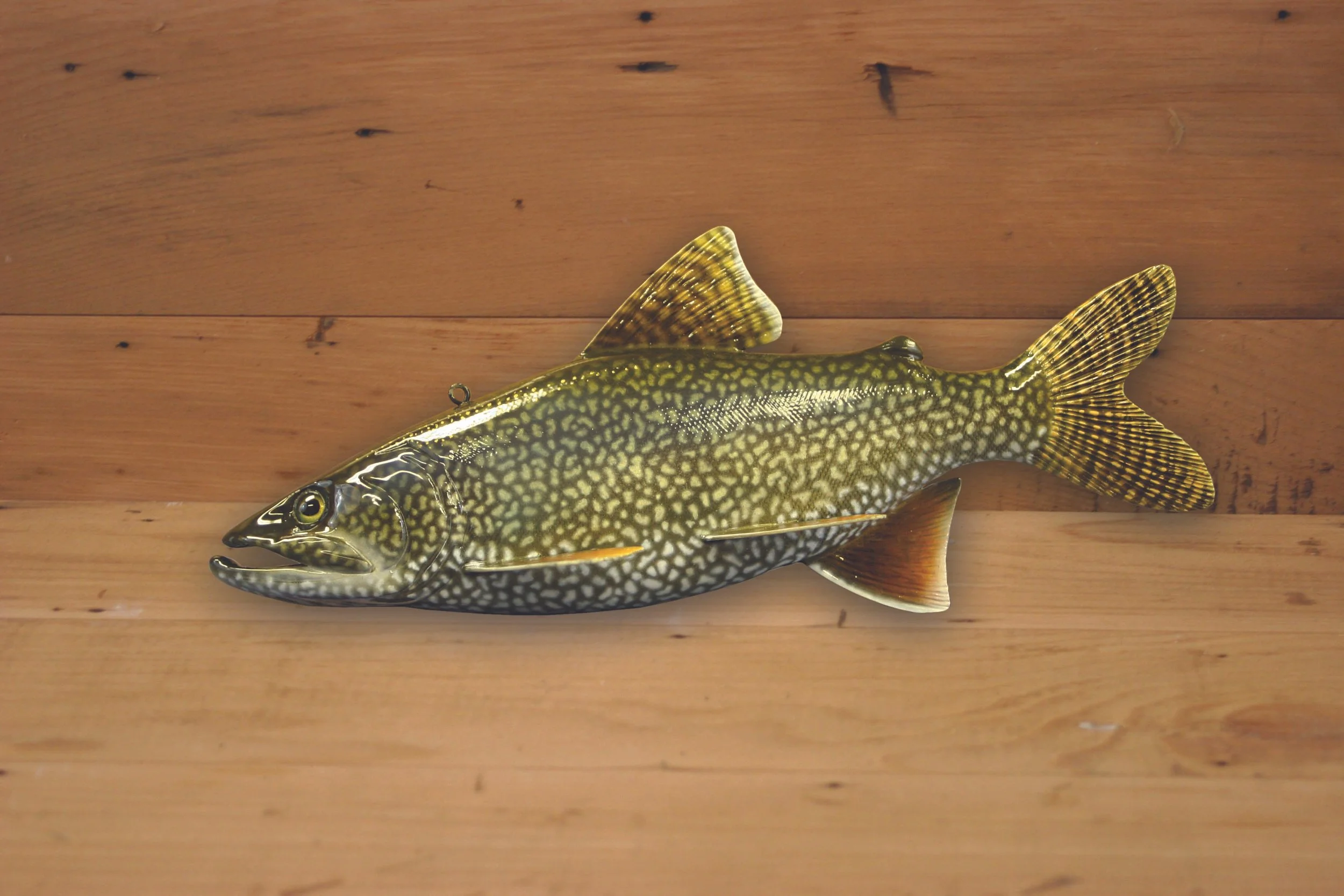 10" Lake Trout by Harley Ragan